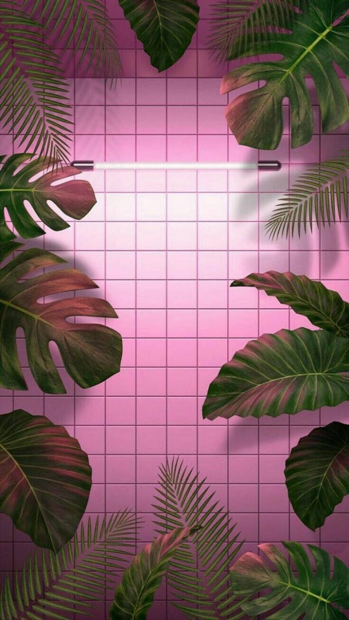 熱帶葉子圍繞著粉紅色格子牆上的發光霓虹燈管。 — Instagram 壁紙