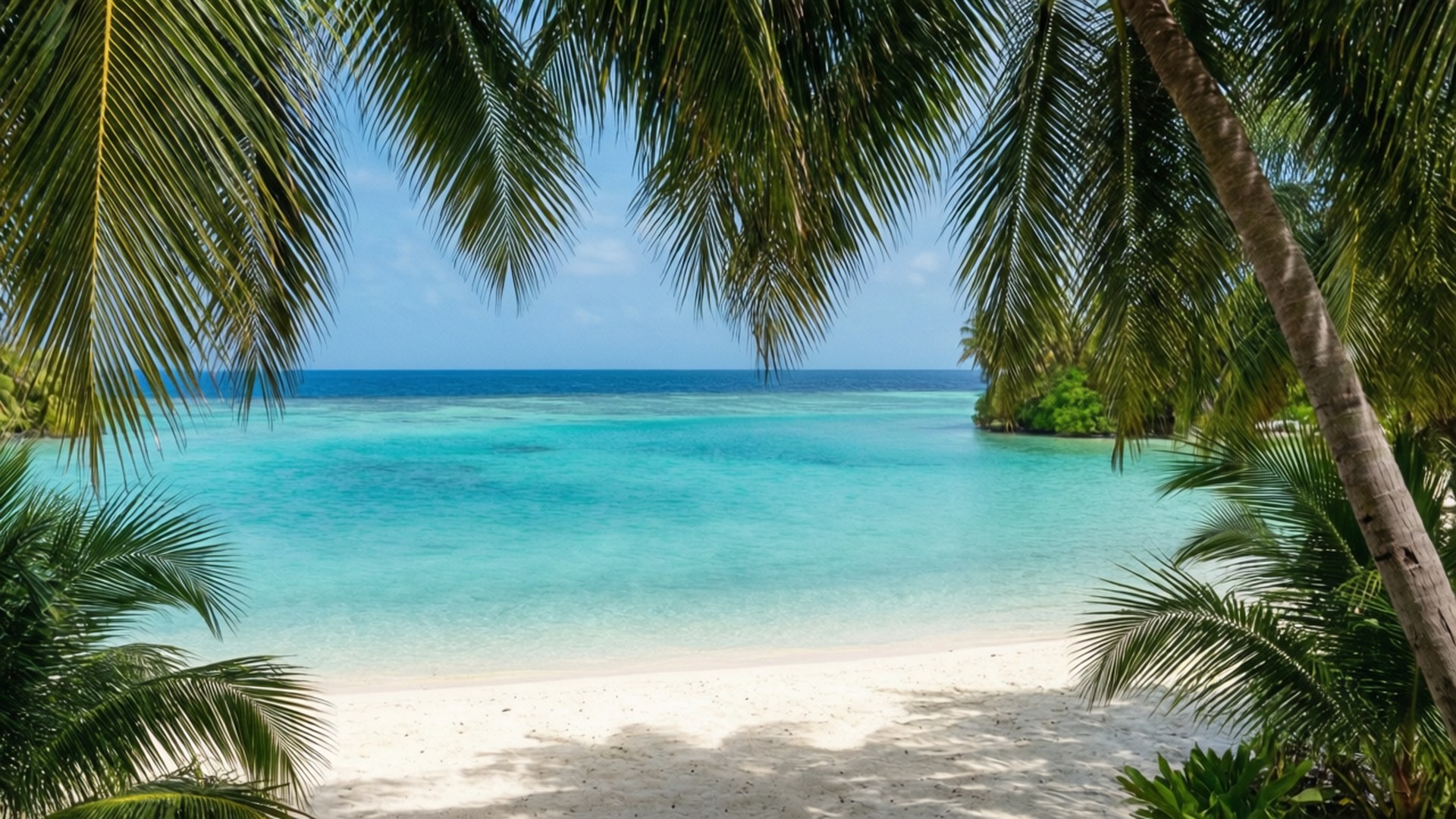 Palm Tree Lagoon 壁紙 — 棕櫚葉框住的熱帶天堂，展現出在清澈藍天下，碧綠海水與白色沙灘的交匯。
