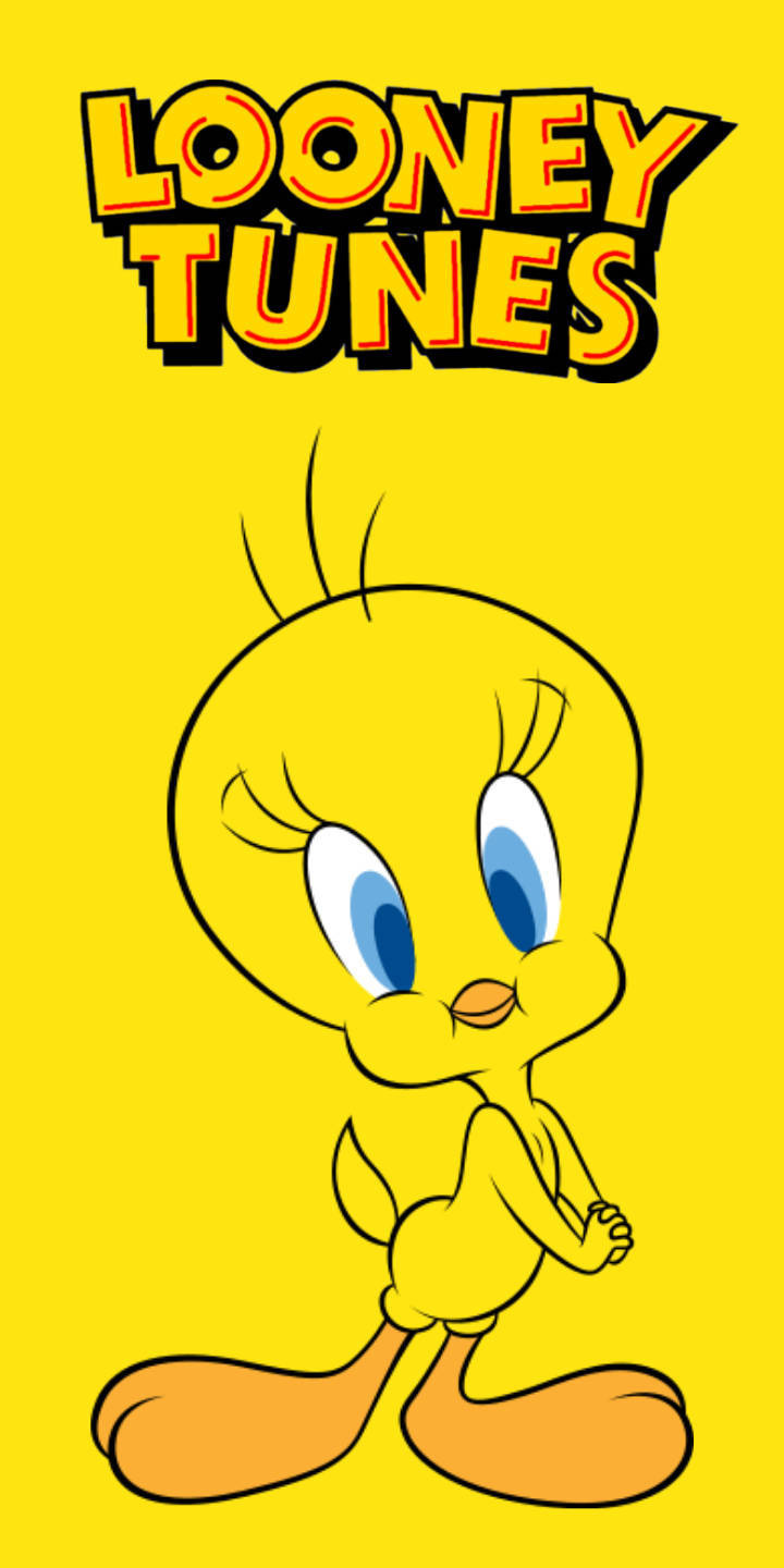 tunes 桌布 壁紙 — Tweety Bird 在明亮的黃色背景上，在粗體的 Looney Tunes 字樣下愉快地站立。