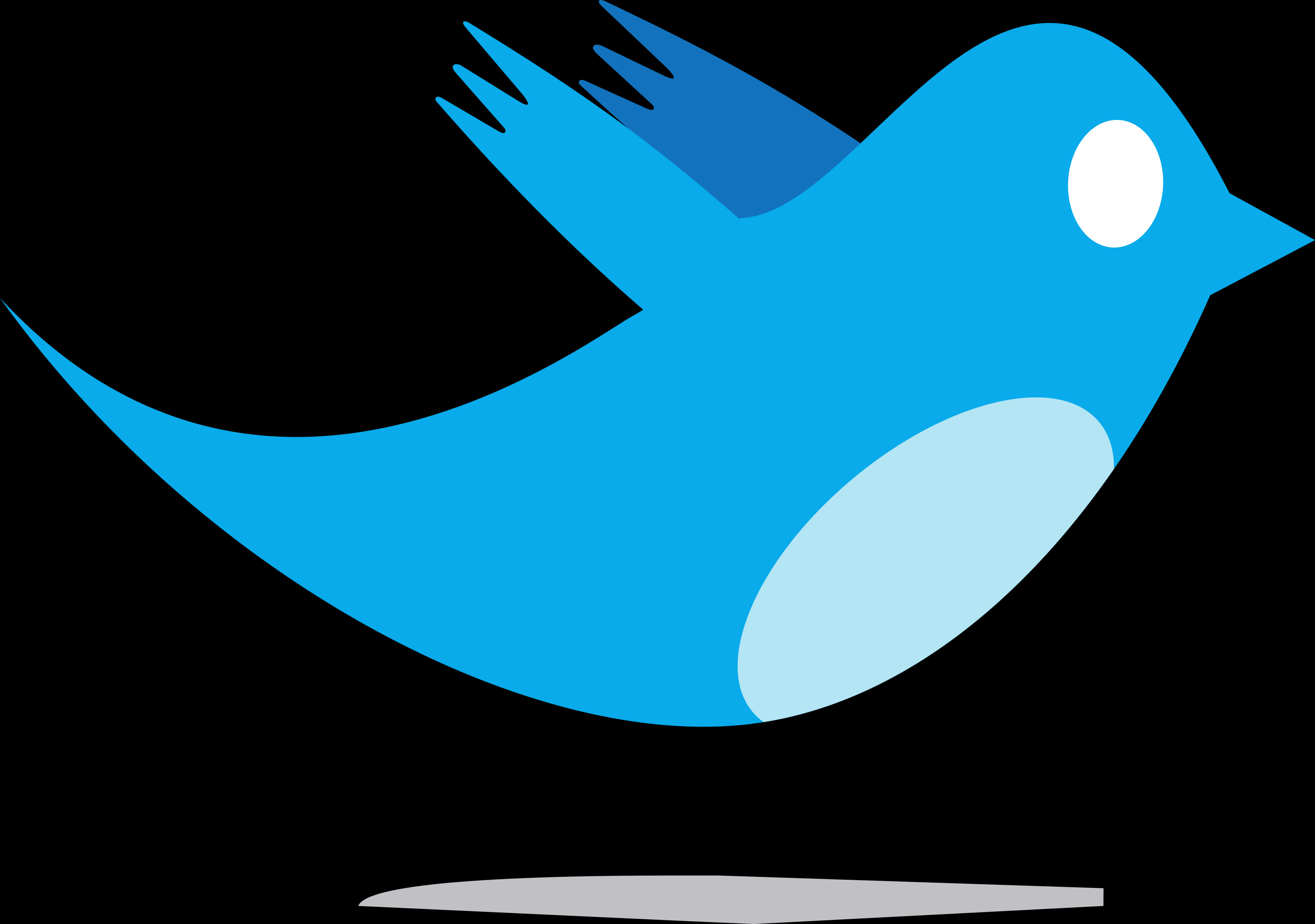 Twitter 標誌藍鳥 壁紙