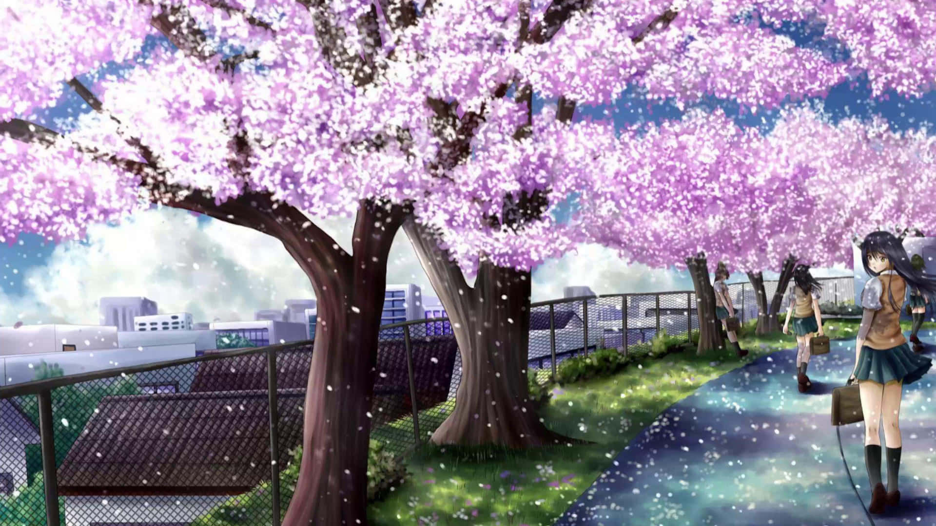  壁紙 — 兩個動漫女孩在盛開的粉紅色櫻花樹冠下漫步於城市公園，花瓣飄落。