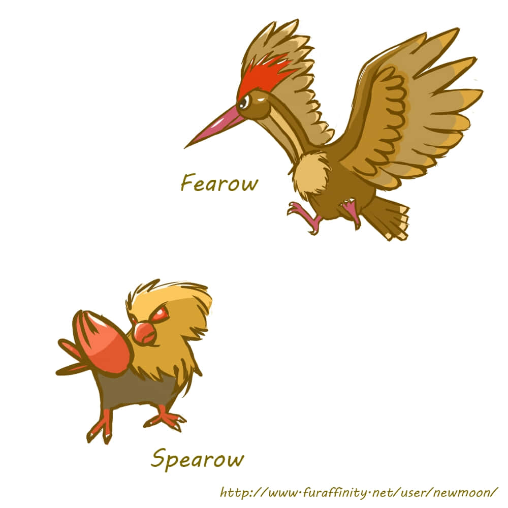 電玩遊戲 桌布 壁紙 — 兩隻標有Fearow和Spearow的卡通鳥在純白色背景上翱翔和站立。