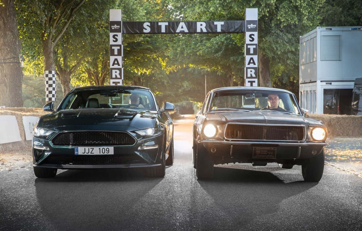 Ford Mustang Bullitt 桌布 壁紙 — 兩輛經典與現代野馬在陽光普照的戶外賽車活動中，於「START」拱門下對峙。