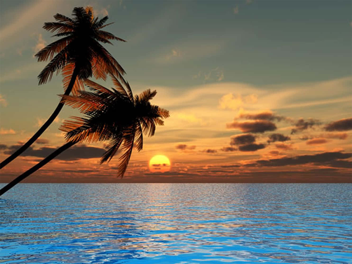 Sunset View 桌布 壁紙 — 兩棵棕櫚樹斜倚在平靜的海面上，一輪金色的夕陽在它們身後落下，將溫暖的光芒灑向天空。