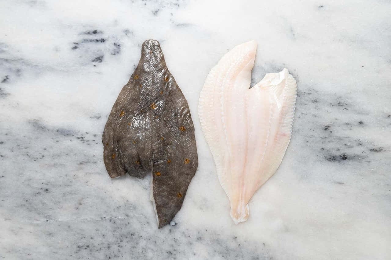  壁紙 — 兩塊生比目魚片，一塊深色斑點，另一塊淡粉紅色，放在白色大理石表面上。