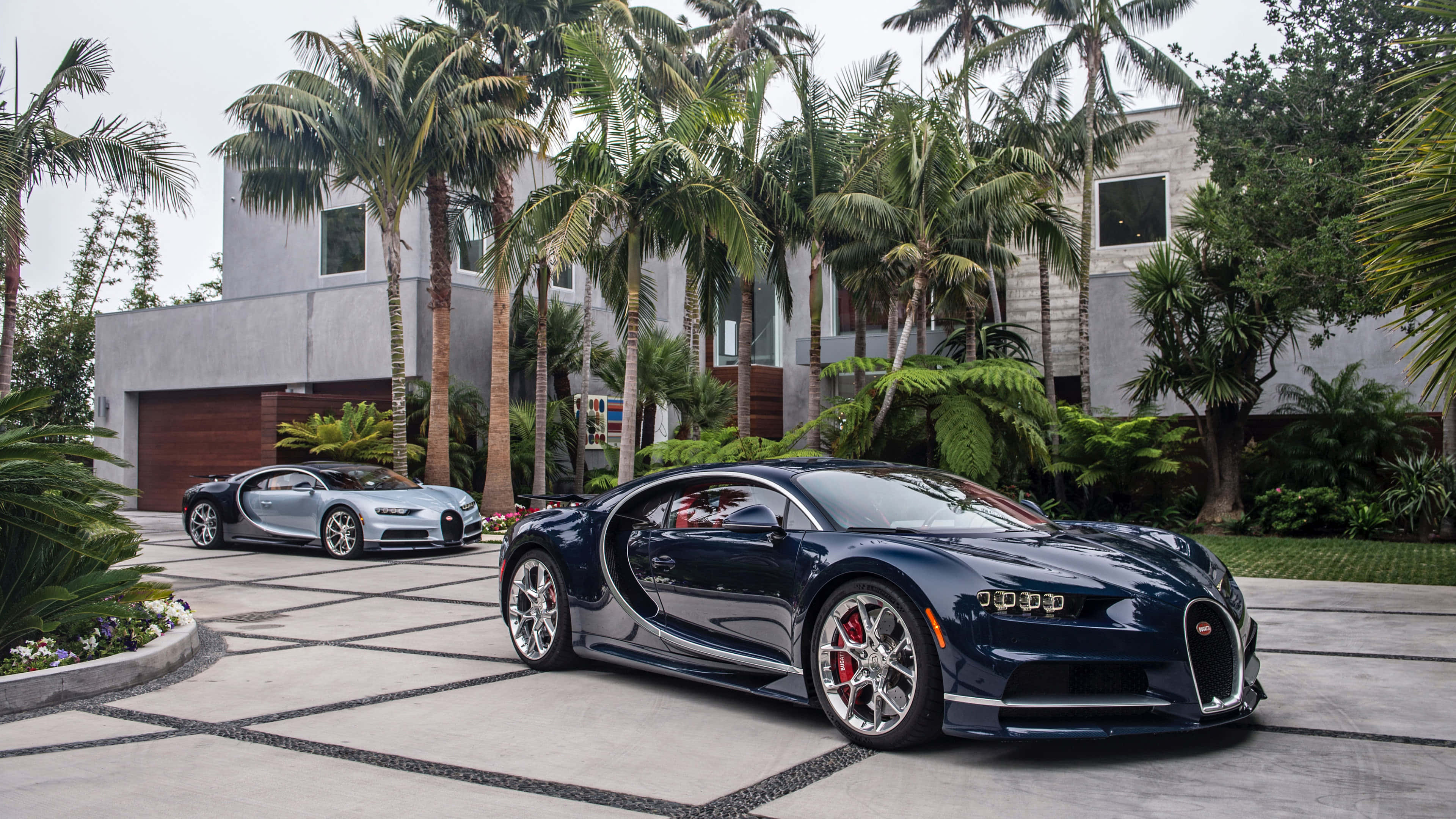 Bugatti Chiron 桌布 壁紙 — 兩輛時尚的Bugatti超跑在陰天天空下閃耀，停泊在瓷磚車道上，周圍環繞著茂密的棕櫚樹和現代豪宅。