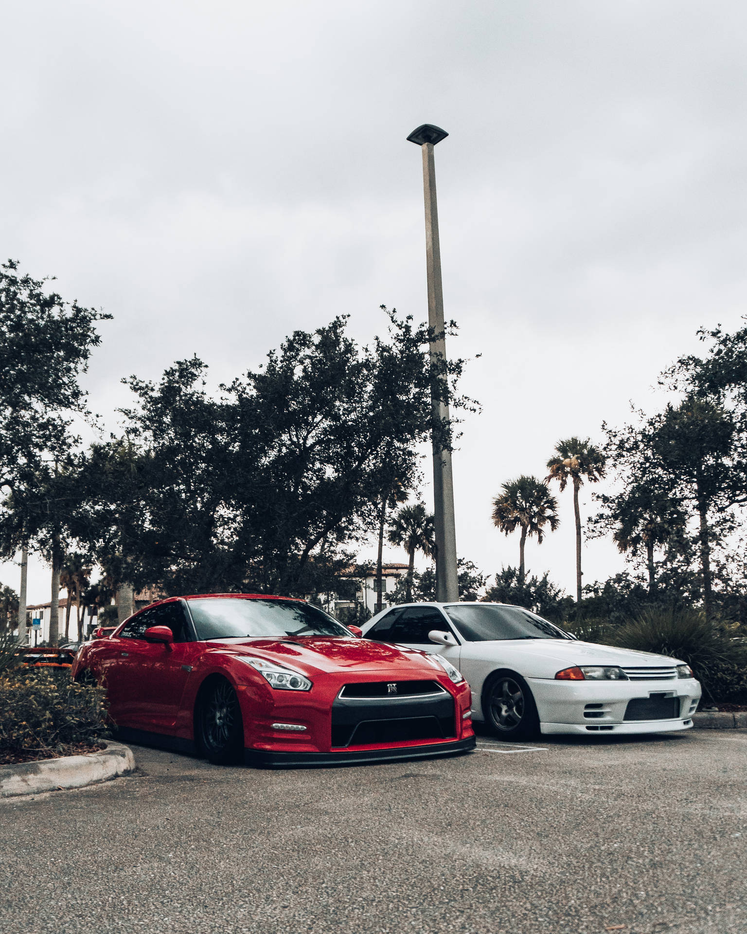 兩輛高性能跑車停在陰天下的熱帶停車場。 — 日產 Skyline GTR R34 壁紙