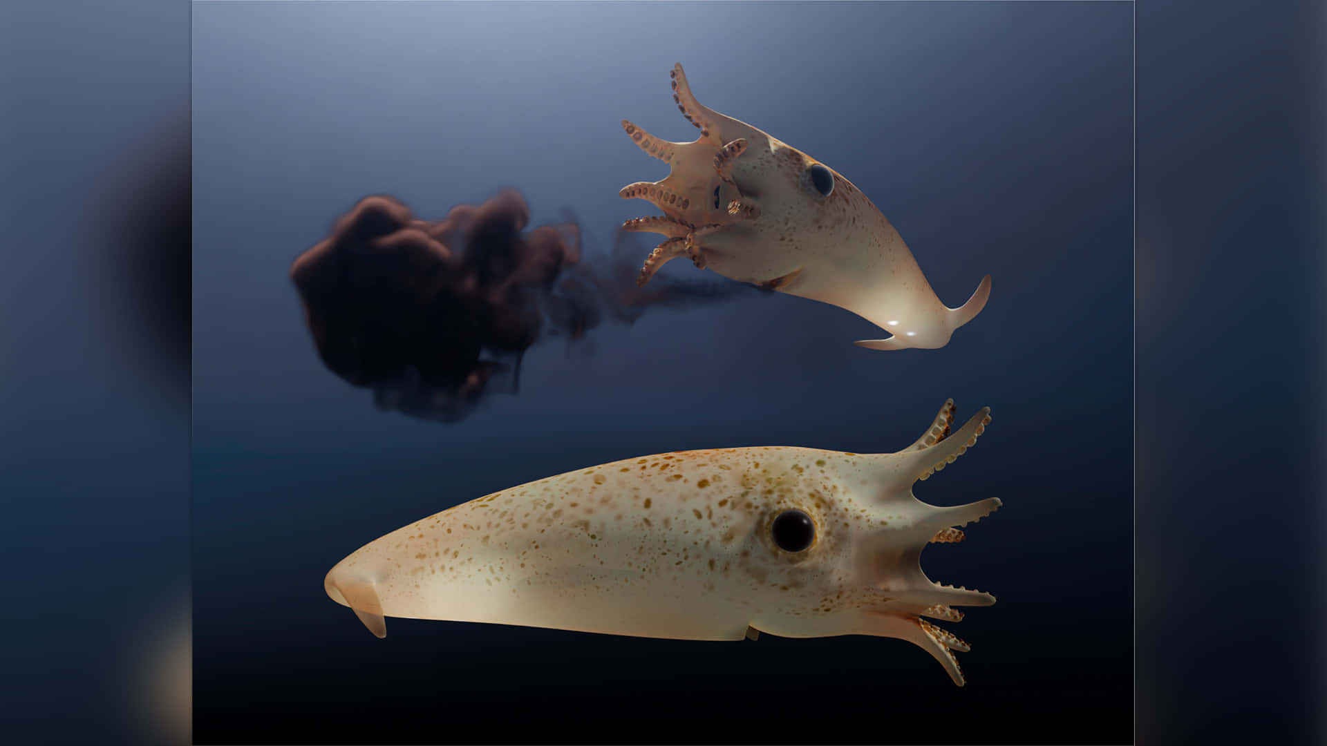  壁紙 — 兩隻半透明的魷魚在深藍色的水中滑行，其中一隻在身後釋放出一團黑色的墨雲。