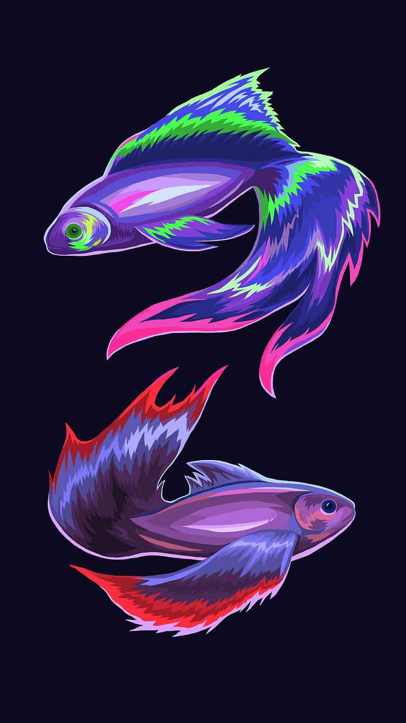  壁紙 — 兩條色彩鮮豔的鬥魚，帶有電光紫、綠和粉紅色的魚鰭，在深色背景上優雅地游動。
