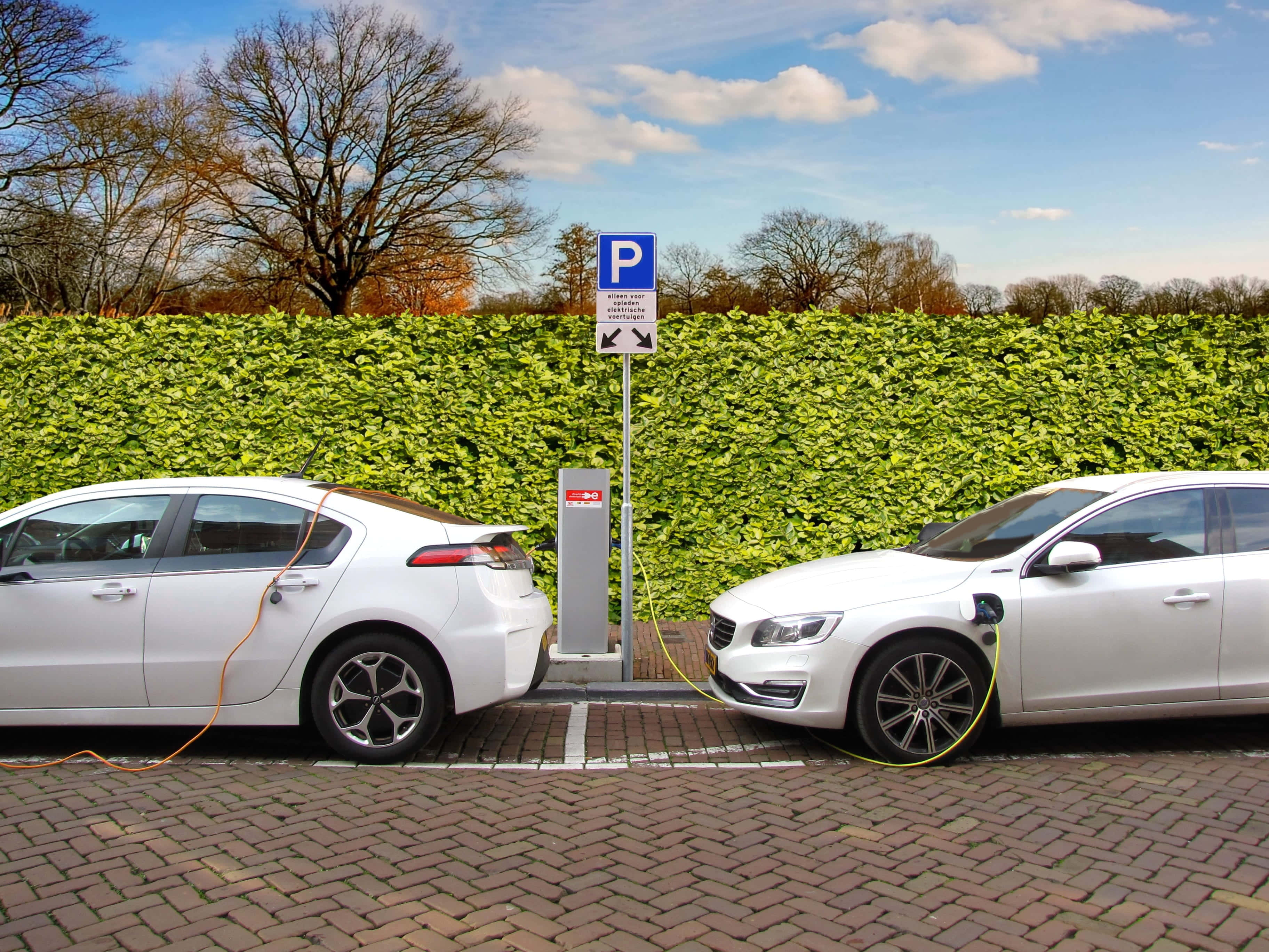 Opel Ampera 桌布 壁紙 — 兩輛白色電動車在陽光明媚的日子裡插入充電站，背景有綠色樹籬和光禿禿的樹木。