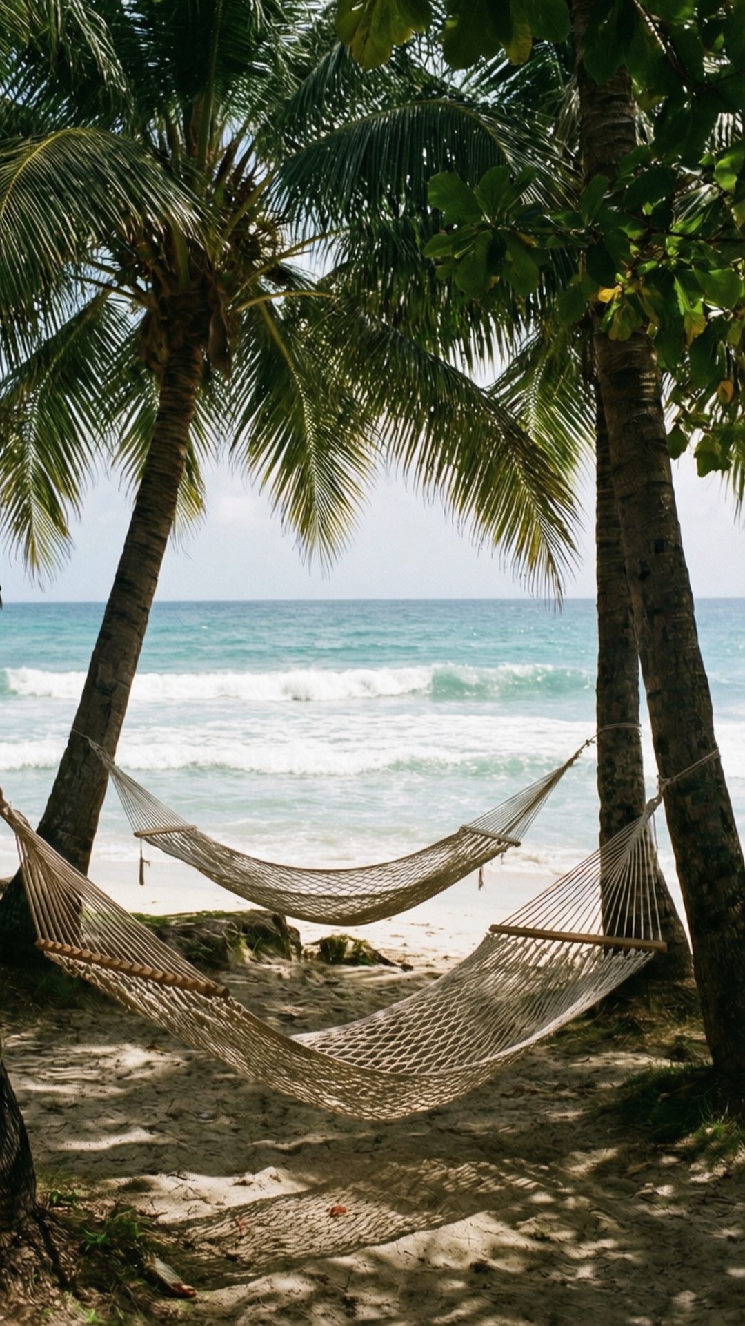 Hammock Relaxation 壁紙 — 兩張編織吊床掛在棕櫚樹之間，位於沙灘上，俯瞰著碧綠的海浪。