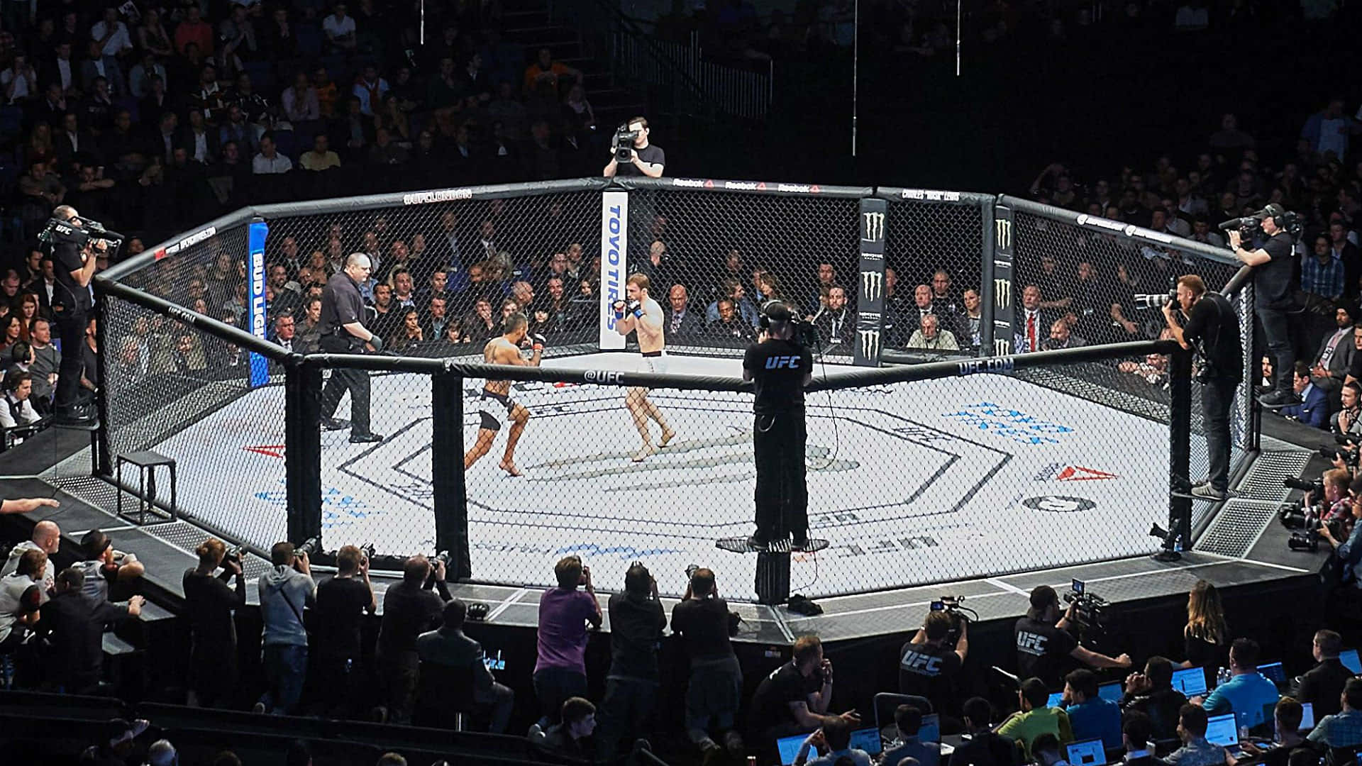 UFC 格鬥賽事背景 壁紙