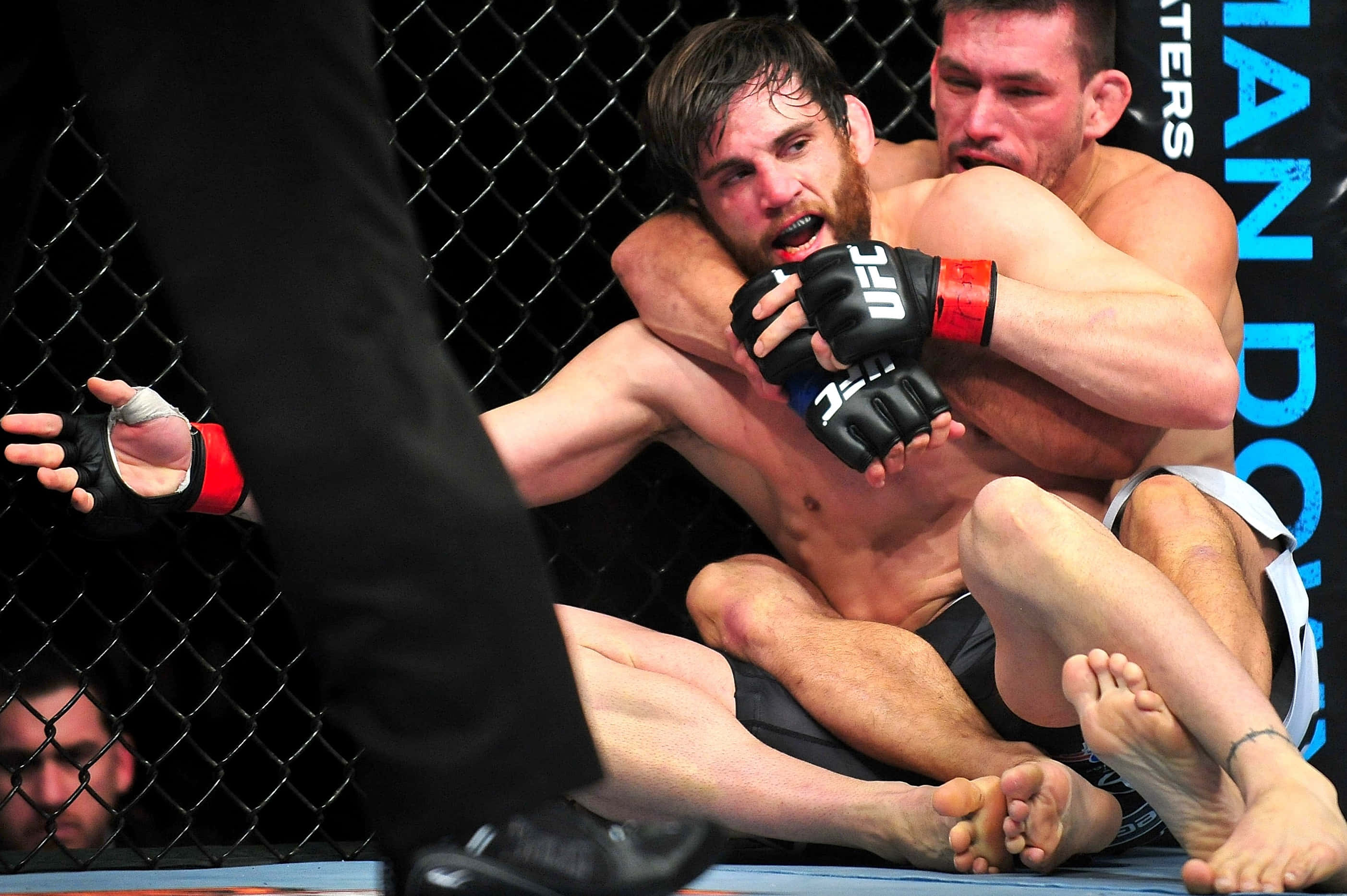 UFC 桌布 壁紙 — UFC比賽中，兩名拳手在黑色鐵絲網籠內的藍色墊子上激烈纏鬥。