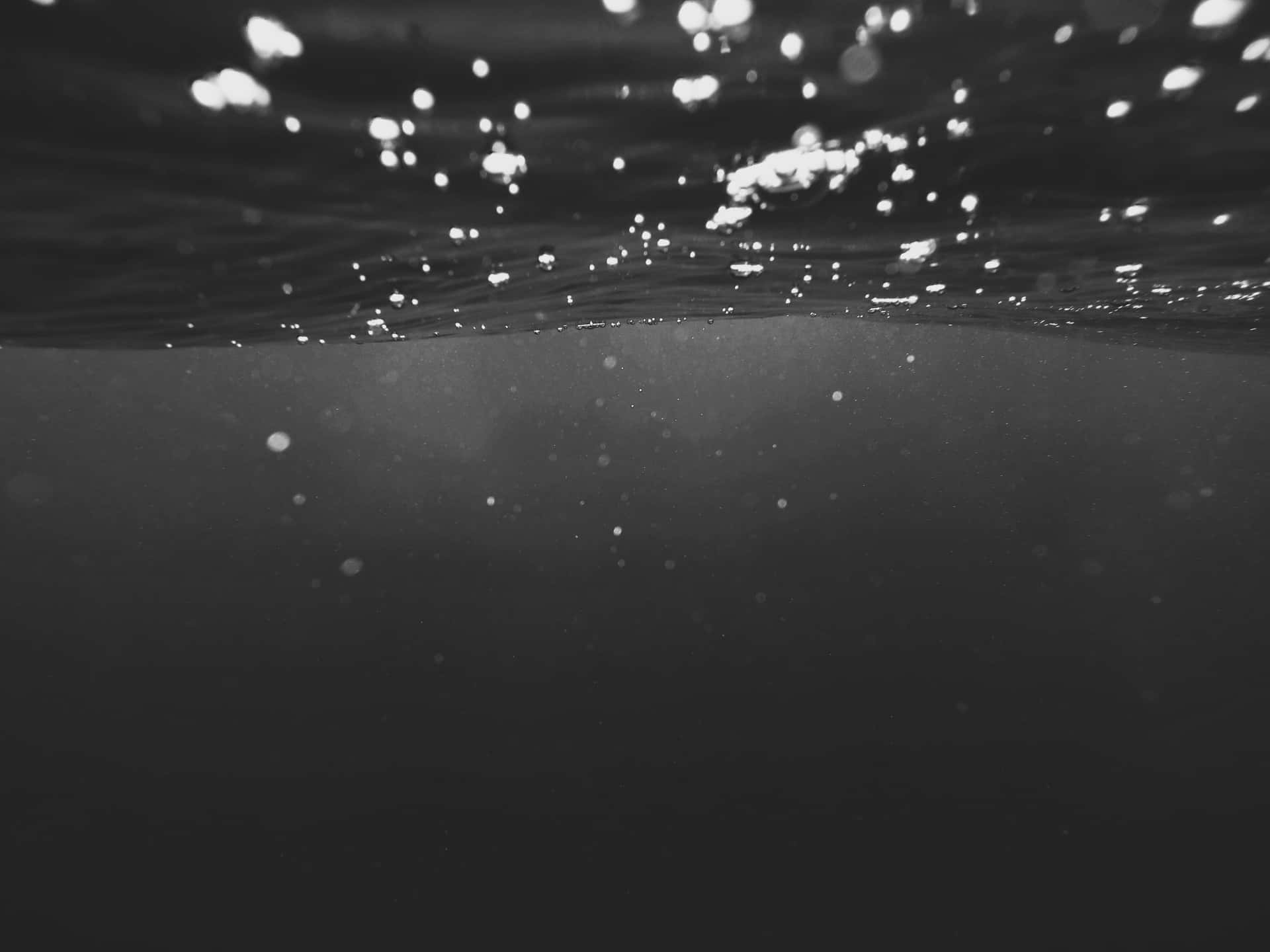  壁紙 — 水下黑白視角，呈現漣漪水面、散落光線反射及浮游粒子。