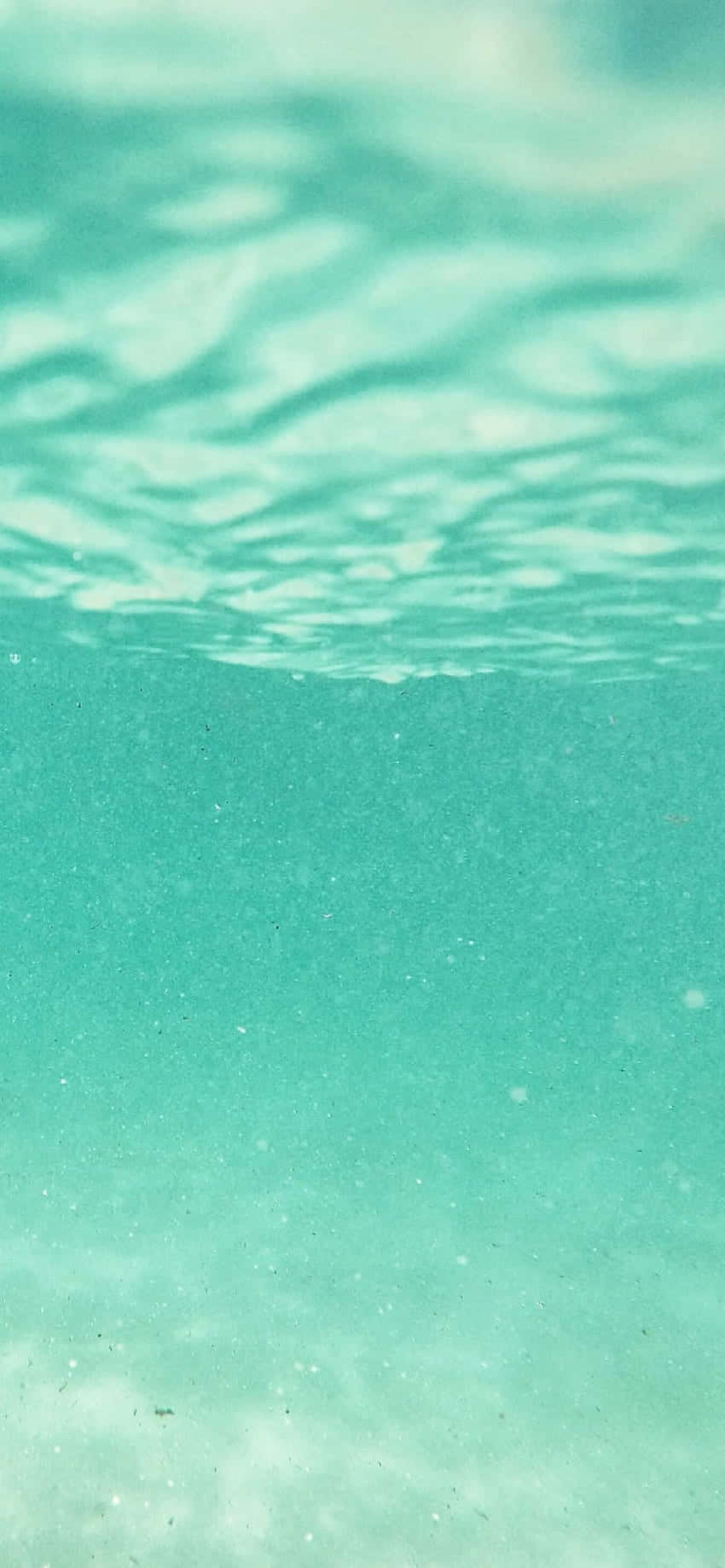 海洋的 underwater 視角 壁紙