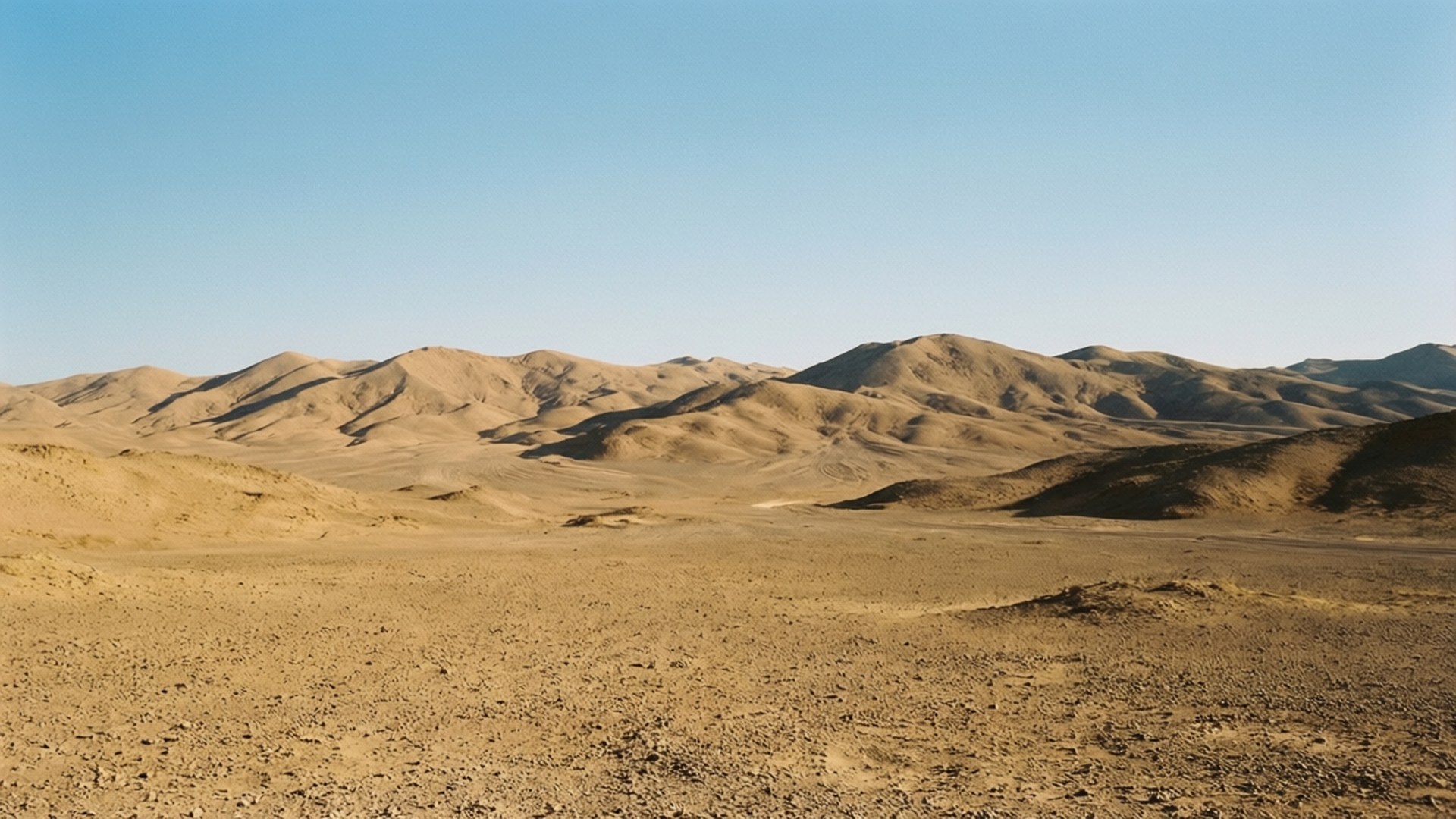 Desert Dunes Vista 壁紙 — 廣闊的金色沙漠沙丘在清澈的藍天下延伸，遠處有柔和的起伏山丘。