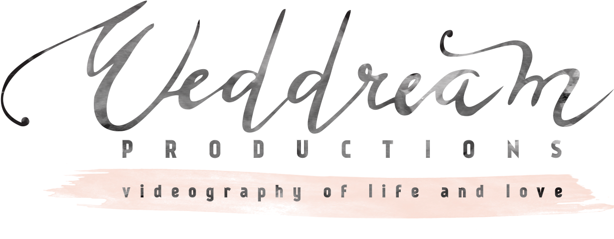 水下動畫 桌布 壁紙 — Veddream Productions 的優雅銀色草書標誌，黑色背景上帶有桃色筆觸標語。