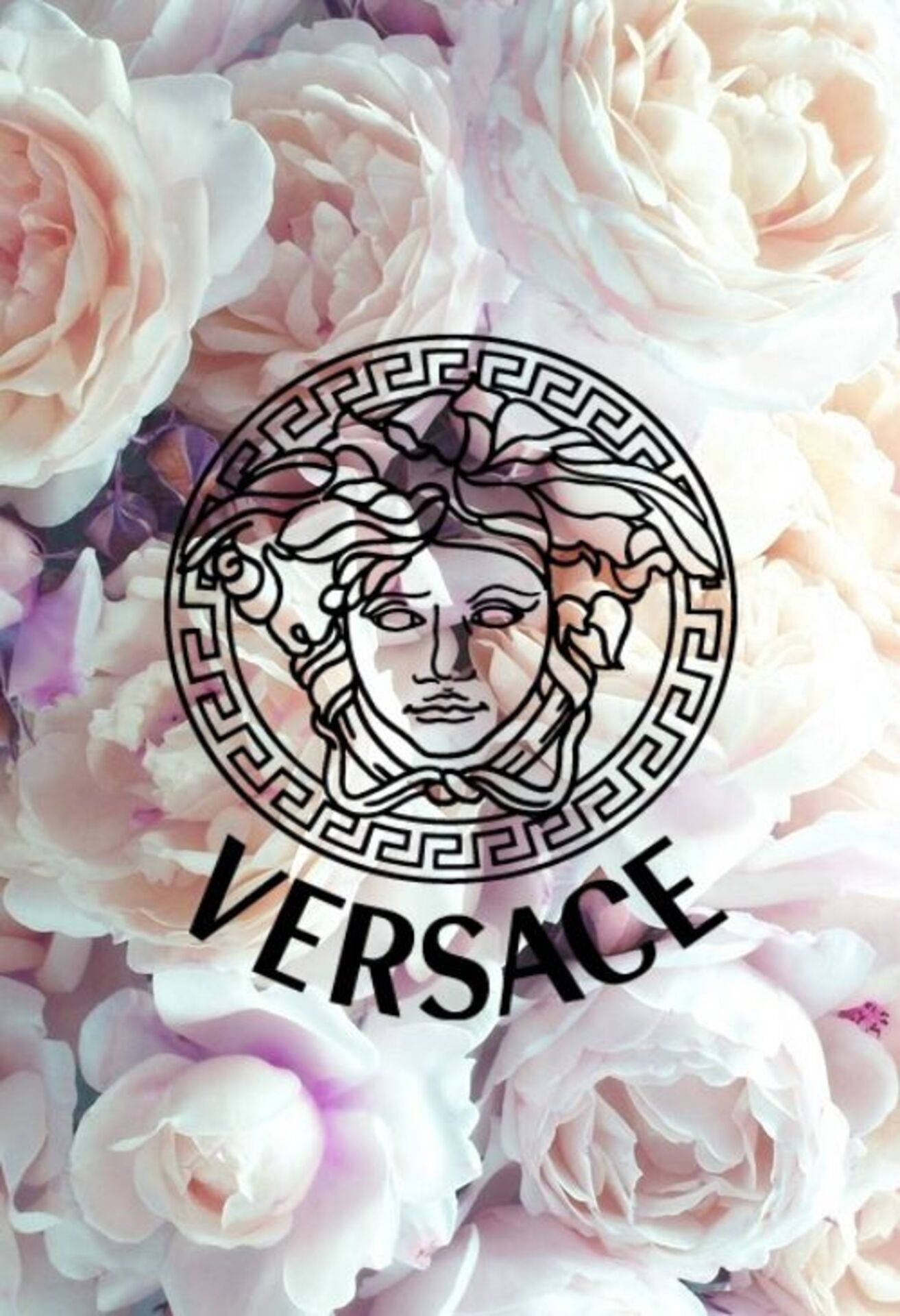 時尚 桌布 壁紙 — Versace 標誌置中於柔軟粉紅玫瑰束上，帶有精緻花瓣和微妙的紫色點綴。
