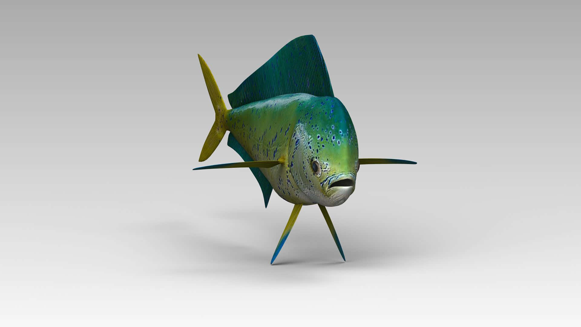 壁紙 — 一條色彩鮮豔的3D渲染鬼頭刀魚，帶有虹彩藍綠色鱗片和黃色魚鰭，孤立在純白色背景上。