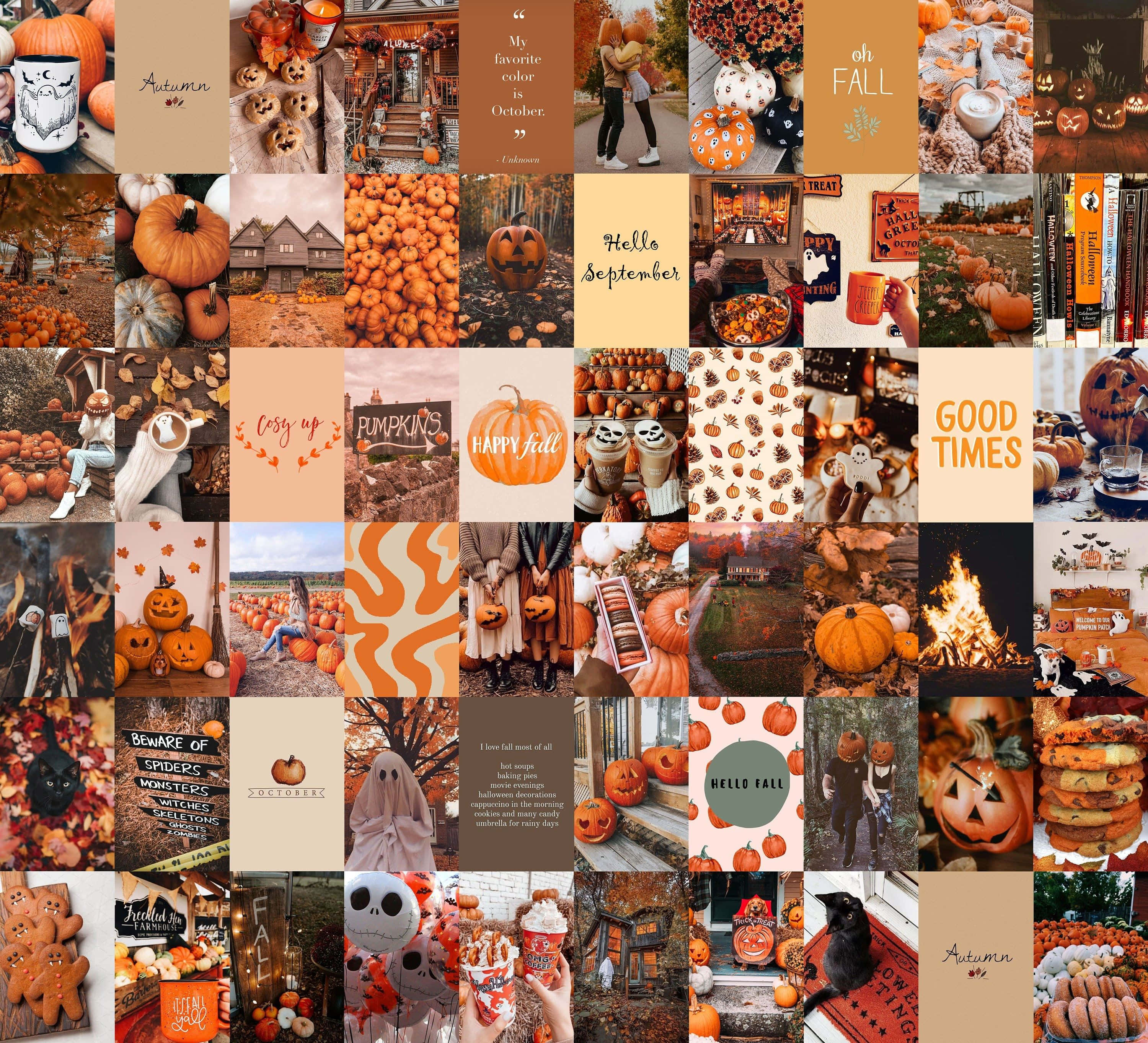 Fall Halloween Aesthetic 桌布 壁紙 — 一幅充滿活力的秋季拼貼畫，以南瓜、傑克南瓜燈、舒適的秋季裝飾和季節性美食為特色，採用溫暖的橙色、棕色和奶油色調。