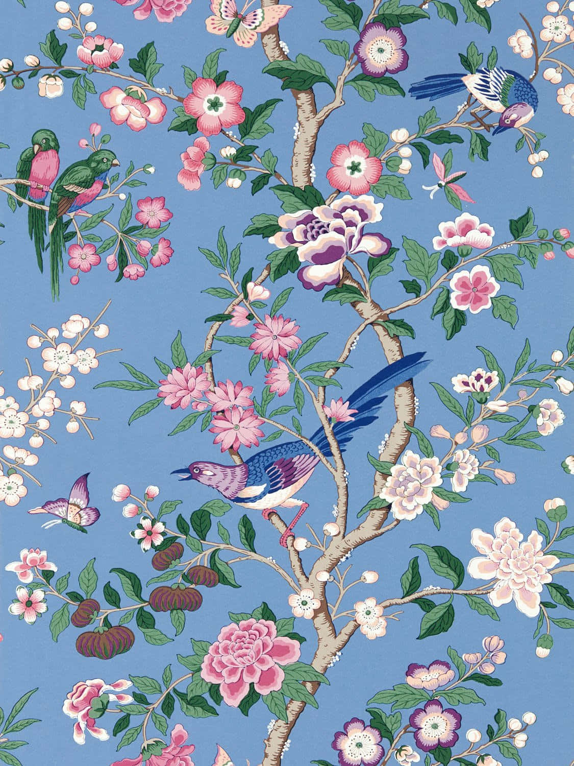  壁紙 — 鮮豔的鳥兒棲息在經典中式圖案的柔和藍色背景上盛開的粉紅色和白色花朵之間。