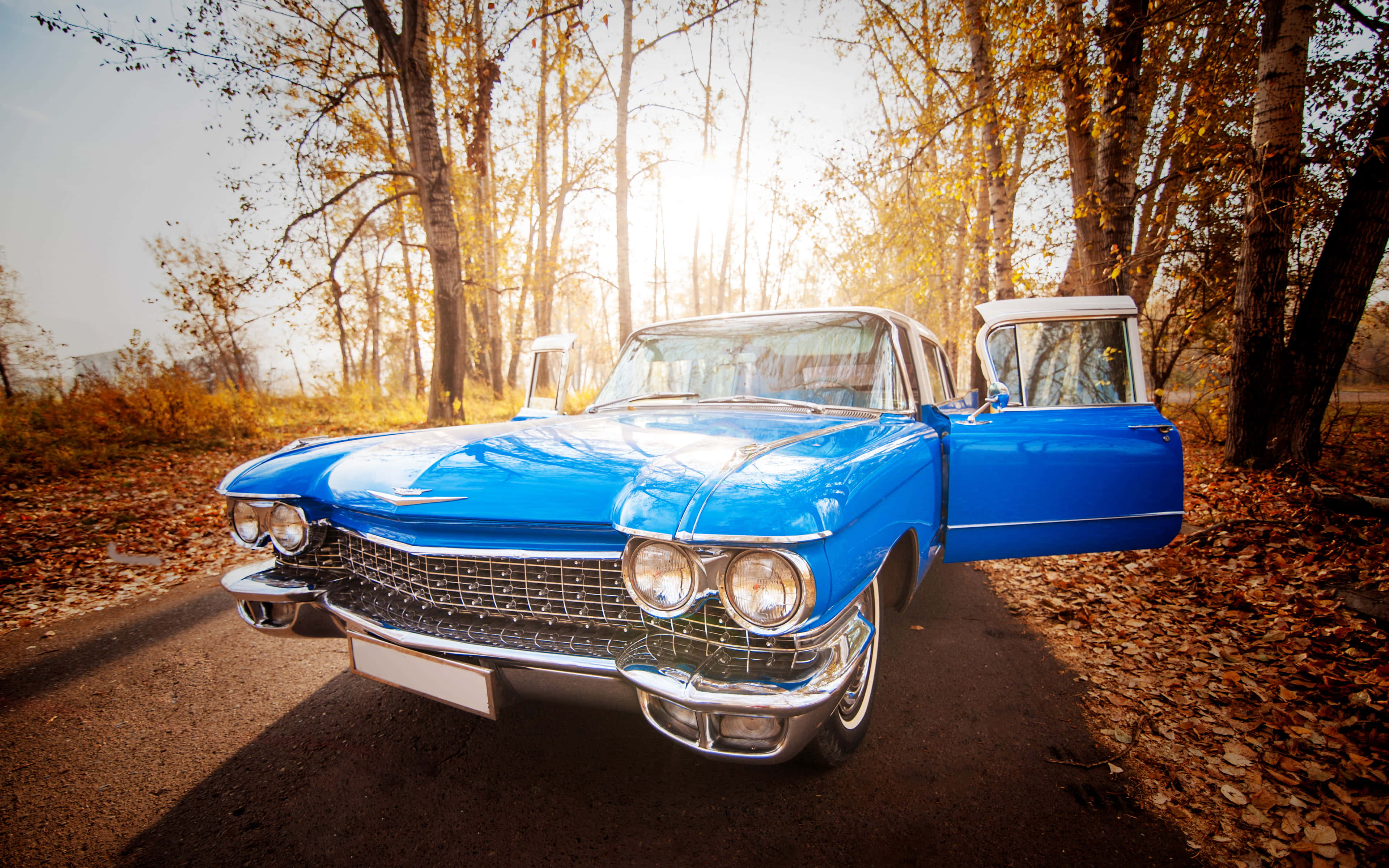 Cadillac Fleetwood 桌布 壁紙 — 一輛充滿活力的藍色經典汽車，帶有鍍鉻細節，停在森林道路上，周圍是秋葉和光禿禿的樹木。