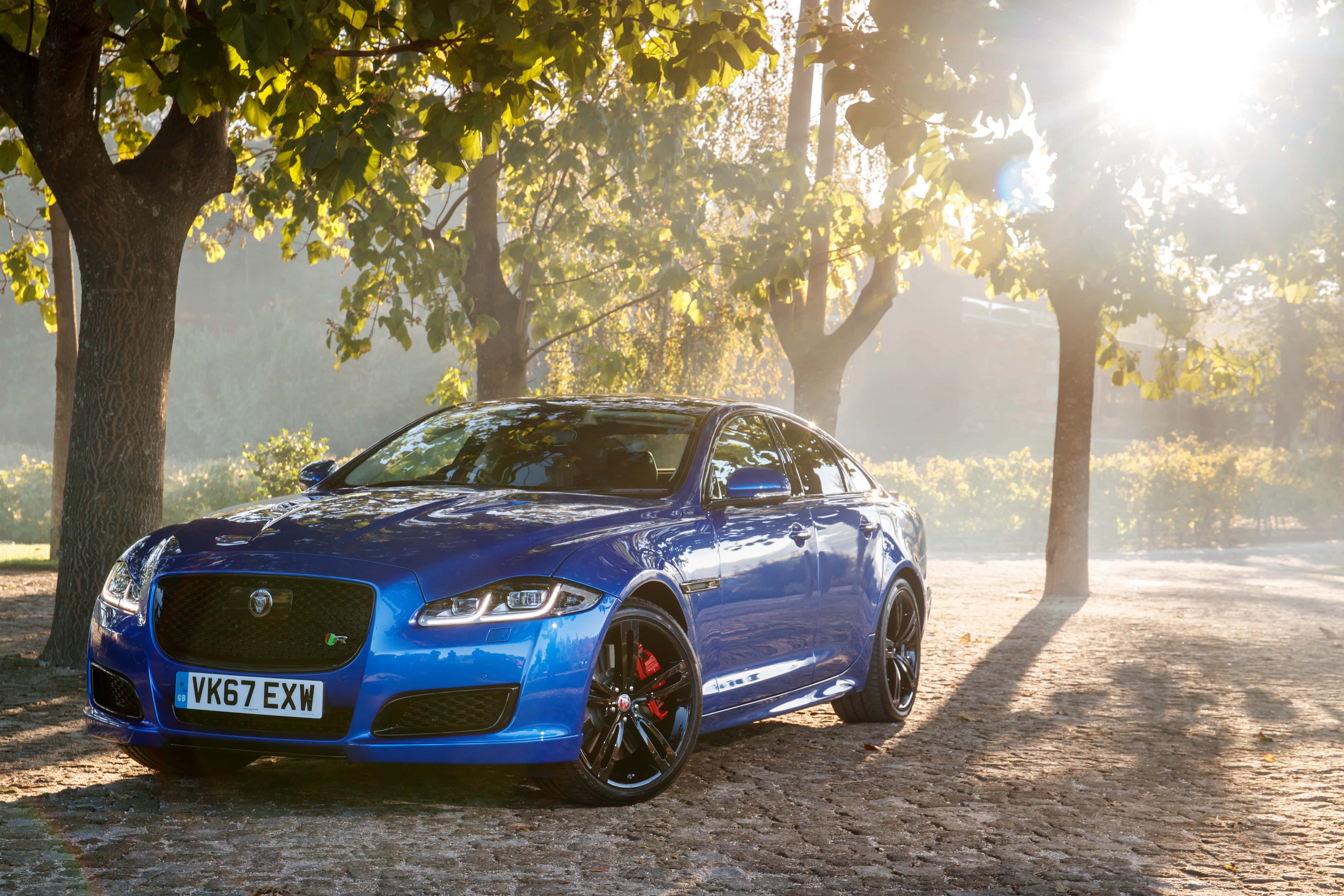Jaguar Xjr 桌布 壁紙 — 一輛充滿活力的藍色Jaguar XF Sportbrake在鵝卵石小徑上，透過秋日樹木灑落的金色陽光下閃閃發光。