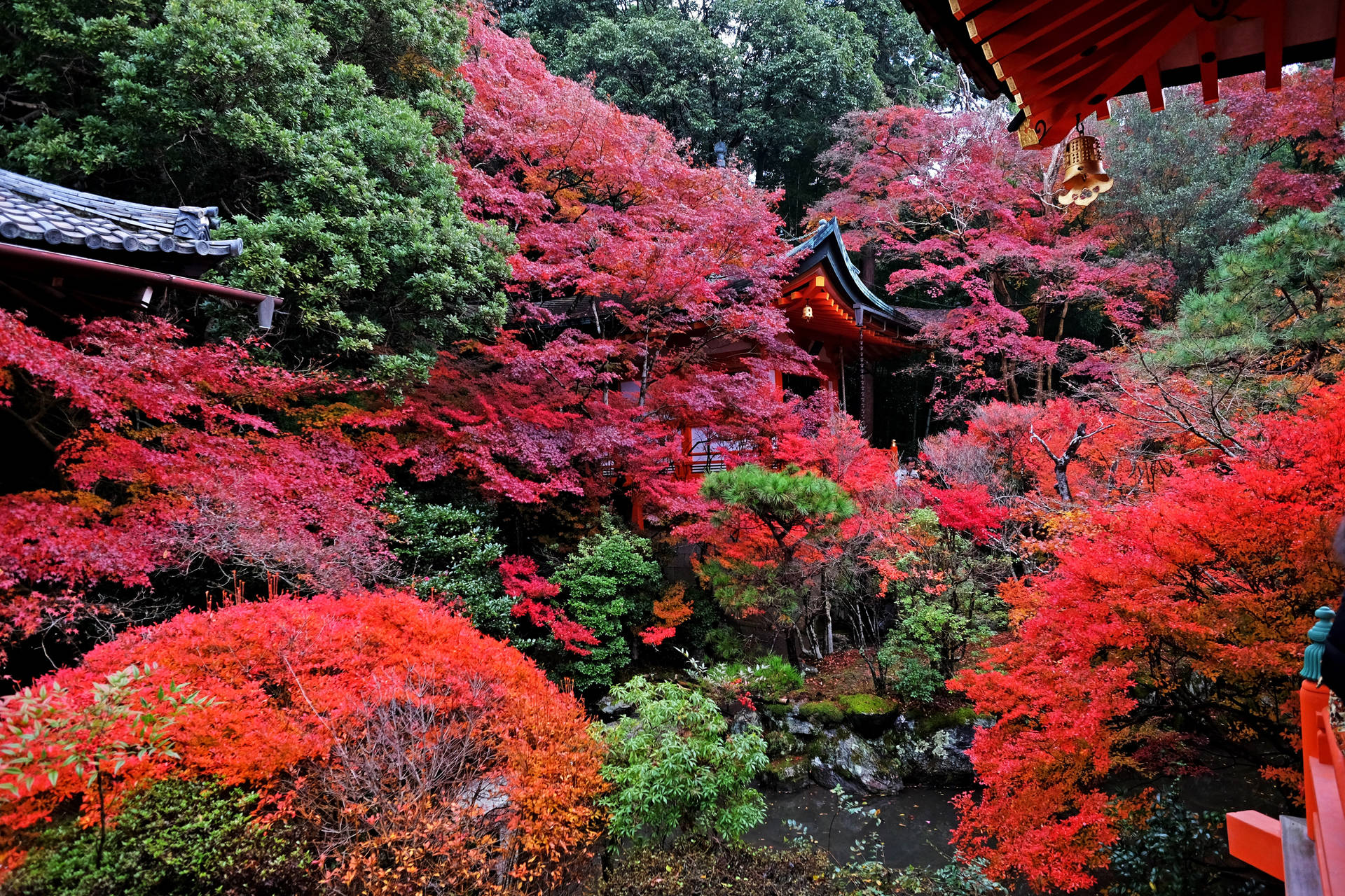 日本寺廟在秋天被火紅的楓樹環繞。 — 京都 壁紙