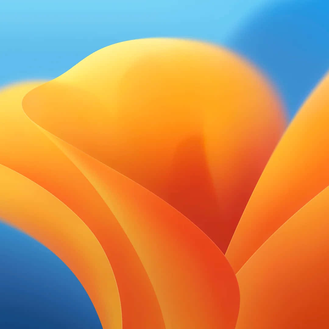  壁紙 — 充滿活力的橙色和藍色抽象曲線在柔和的漸變背景上流暢流動。