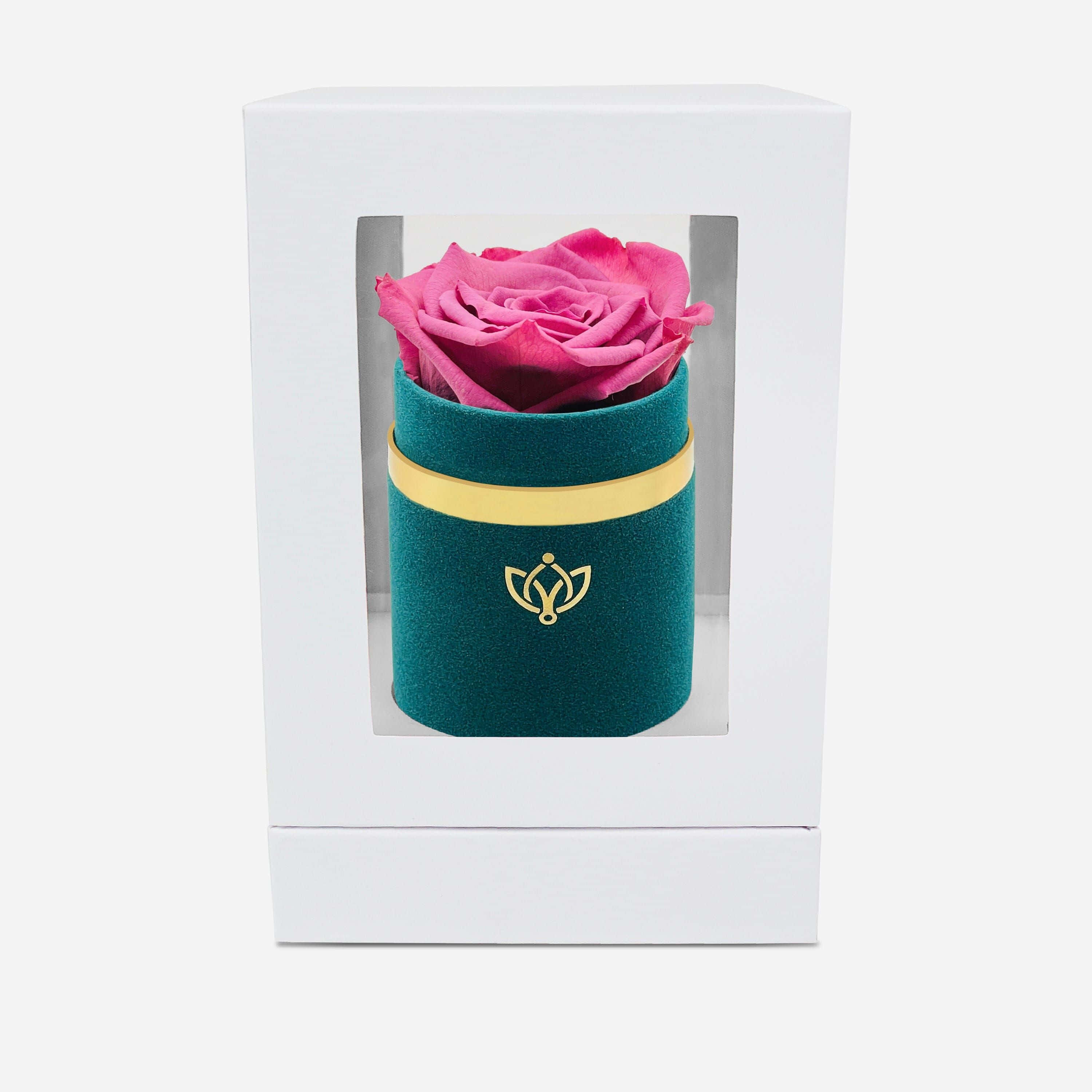 Single Rose 桌布 壁紙 — 一朵充滿活力的粉紅色保鮮玫瑰優雅地放在一個白色禮物盒內，帶有金色飾邊的藍綠色天鵝絨圓柱體中。