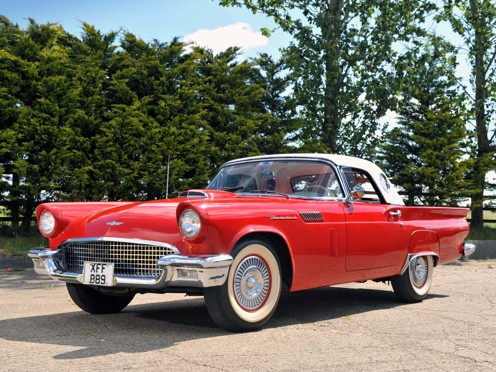 Ford Thunderbird 桌布 壁紙 — 一輛鮮紅色的1950年代福特雷鳥，白色車頂在明媚陽光下閃閃發光，背景是茂密的綠樹。