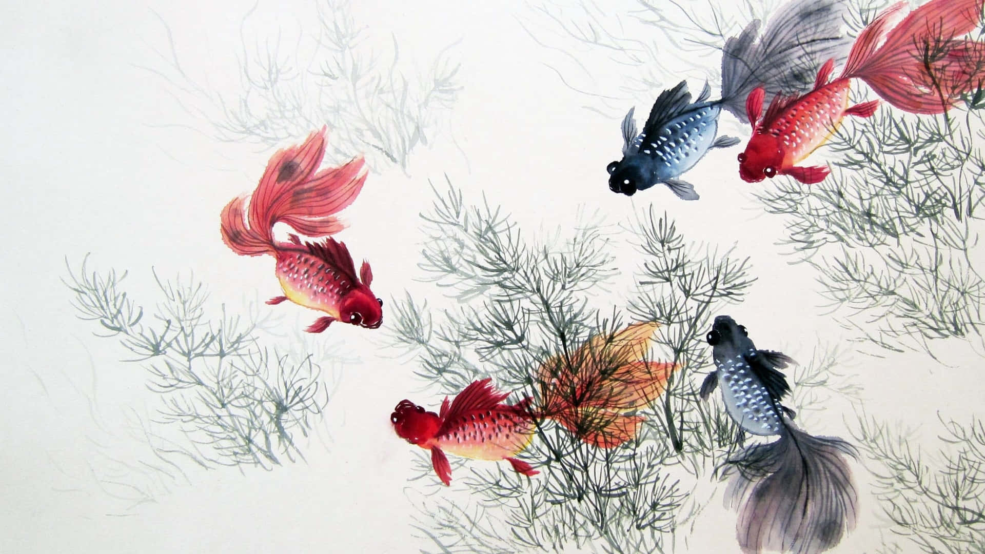  壁紙 — 鮮豔的紅色和黑色金魚在傳統水墨畫中，於精緻的灰色水生植物間優雅游動。