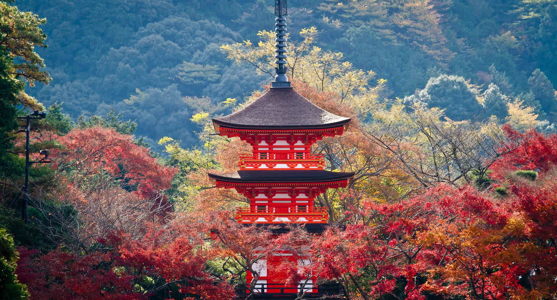 紅色寶塔被秋樹環繞，位於森林覆蓋的山區環境中。 — 京都 壁紙