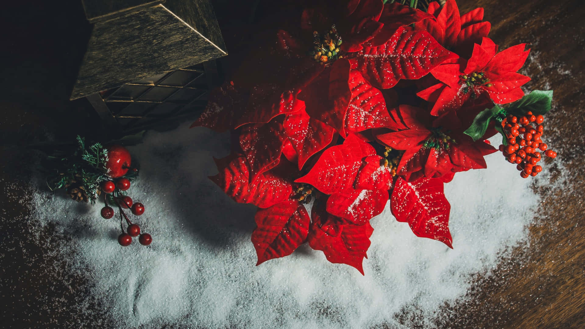  壁紙 — 鮮豔的紅色聖誕紅撒上亮粉，放在雪白的粉末上，旁邊有節日紅莓和質樸的燈籠。