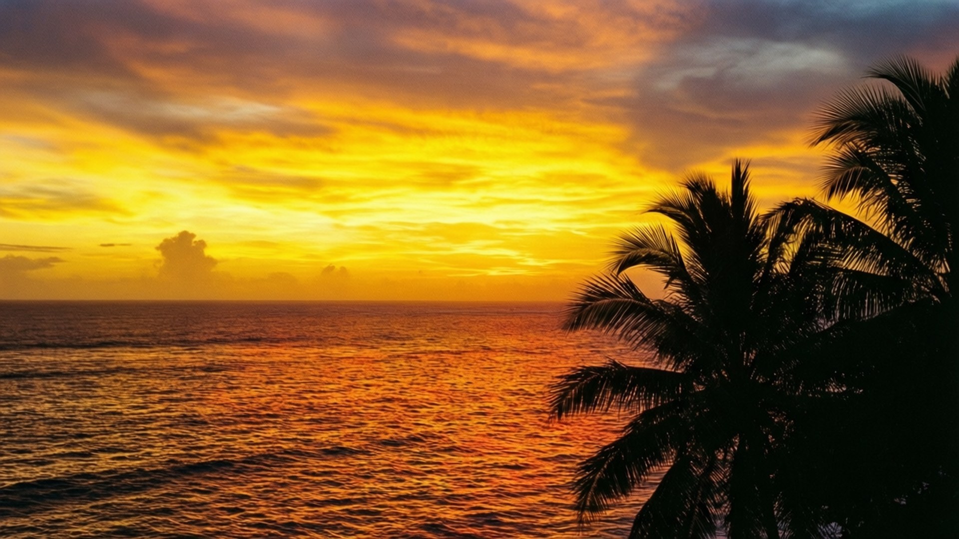 Golden Sunset Ocean 壁紙 — 充滿活力的日落將海洋染成火熱的橙色和金色，棕櫚葉的剪影勾勒出地平線。