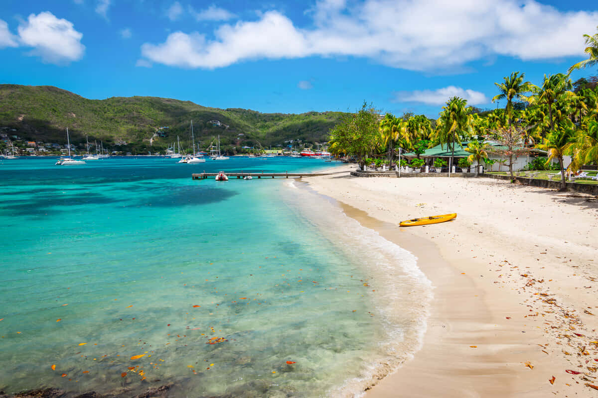 Caribbean Island 桌布 壁紙 — 充滿活力的熱帶海灘，擁有碧綠海水、溫柔波浪、白色沙灘、棕櫚樹和帆船，在明亮的藍天下。