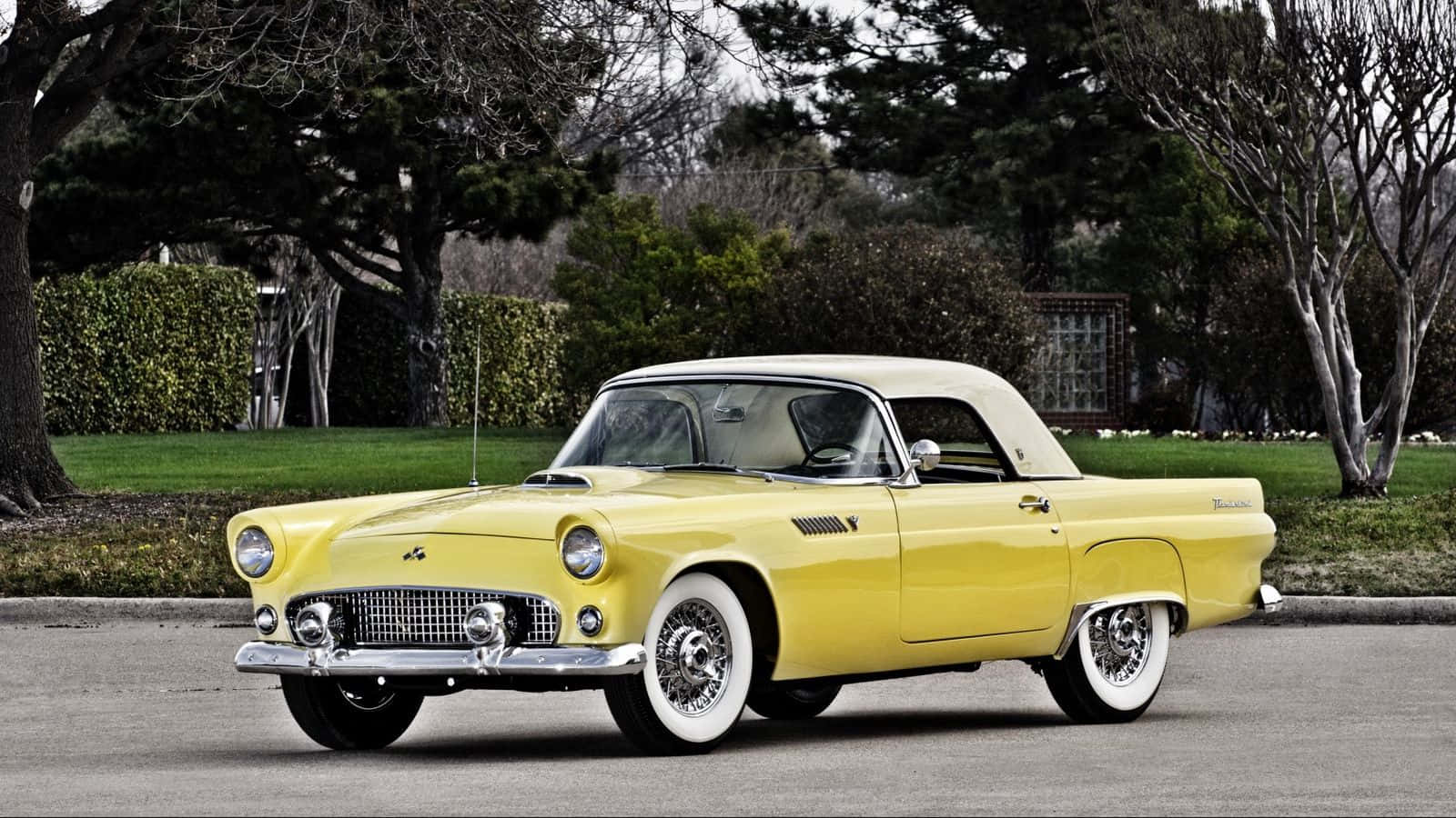 Ford Thunderbird 桌布 壁紙 — 一輛鮮黃色的1955年福特雷鳥敞篷車停在一條安靜的街道上，背景有光禿的樹木和綠色籬笆。