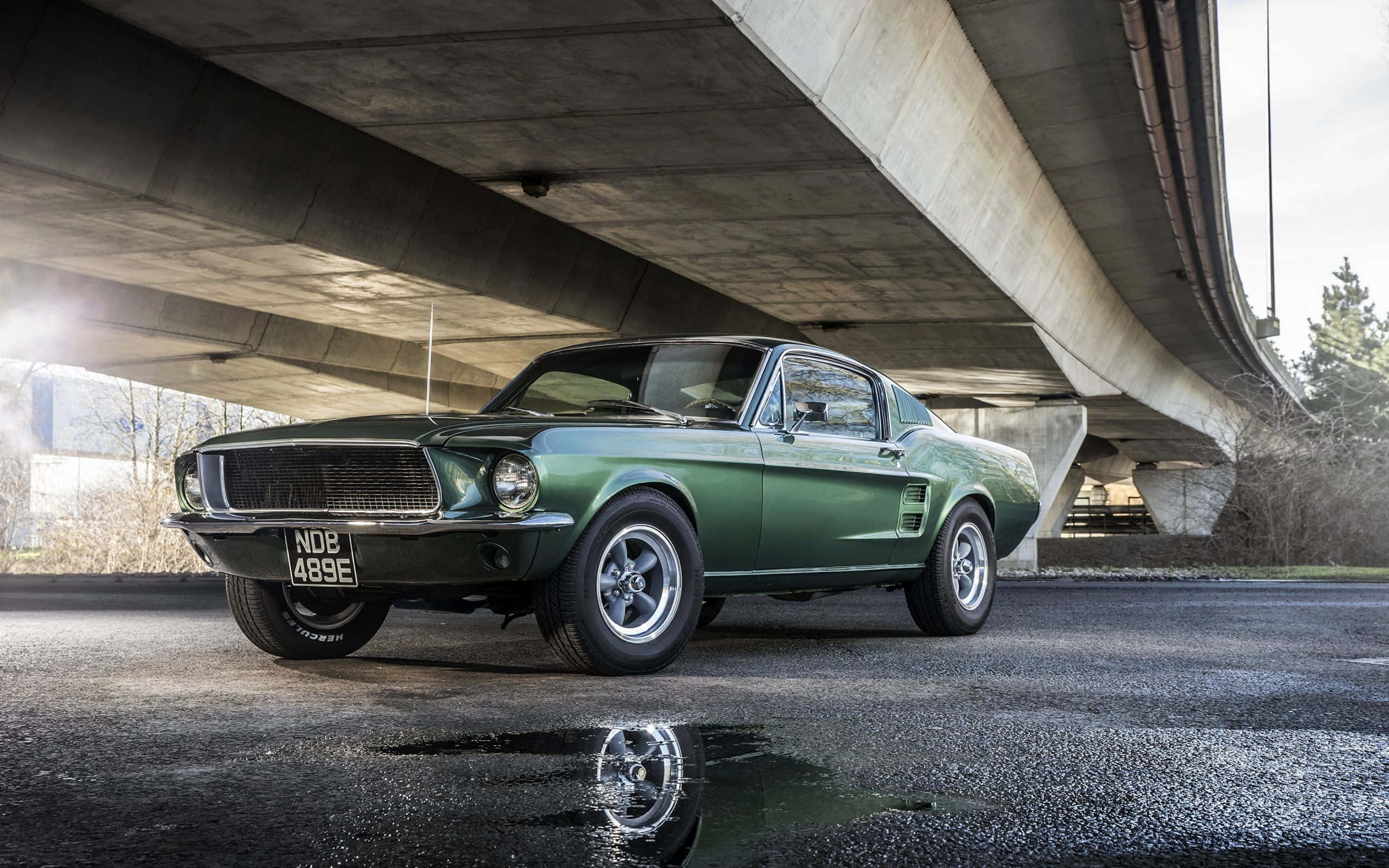 Ford Mustang Bullitt 桌布 壁紙 — 一輛復古綠色福特野馬在混凝土天橋下閃耀，帶有水坑倒影和背景中的光禿樹木。