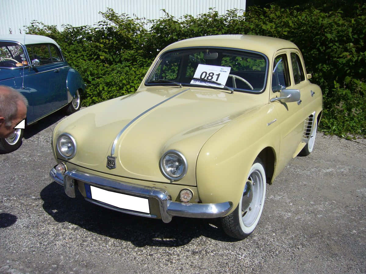 Renault Dauphine 桌布 壁紙 — 一輛復古淡黃色雷諾Dauphine，配備白色側壁輪胎，停放在碎石上，旁邊有綠色灌木叢，在明亮的陽光下。