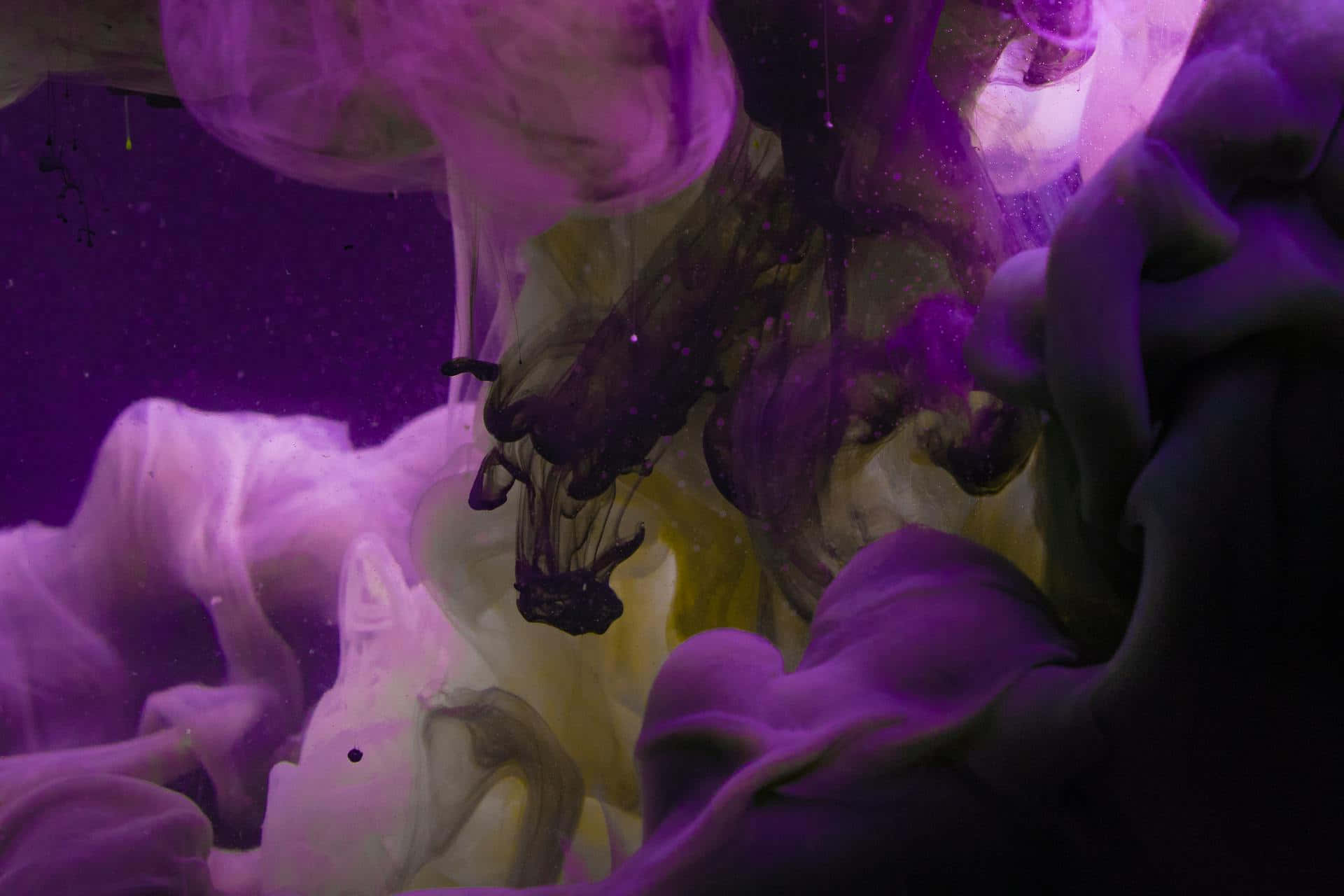  壁紙 — 鮮豔的紫色和黃色墨水在水中戲劇性地旋轉，創造出抽象的流體藝術構圖。