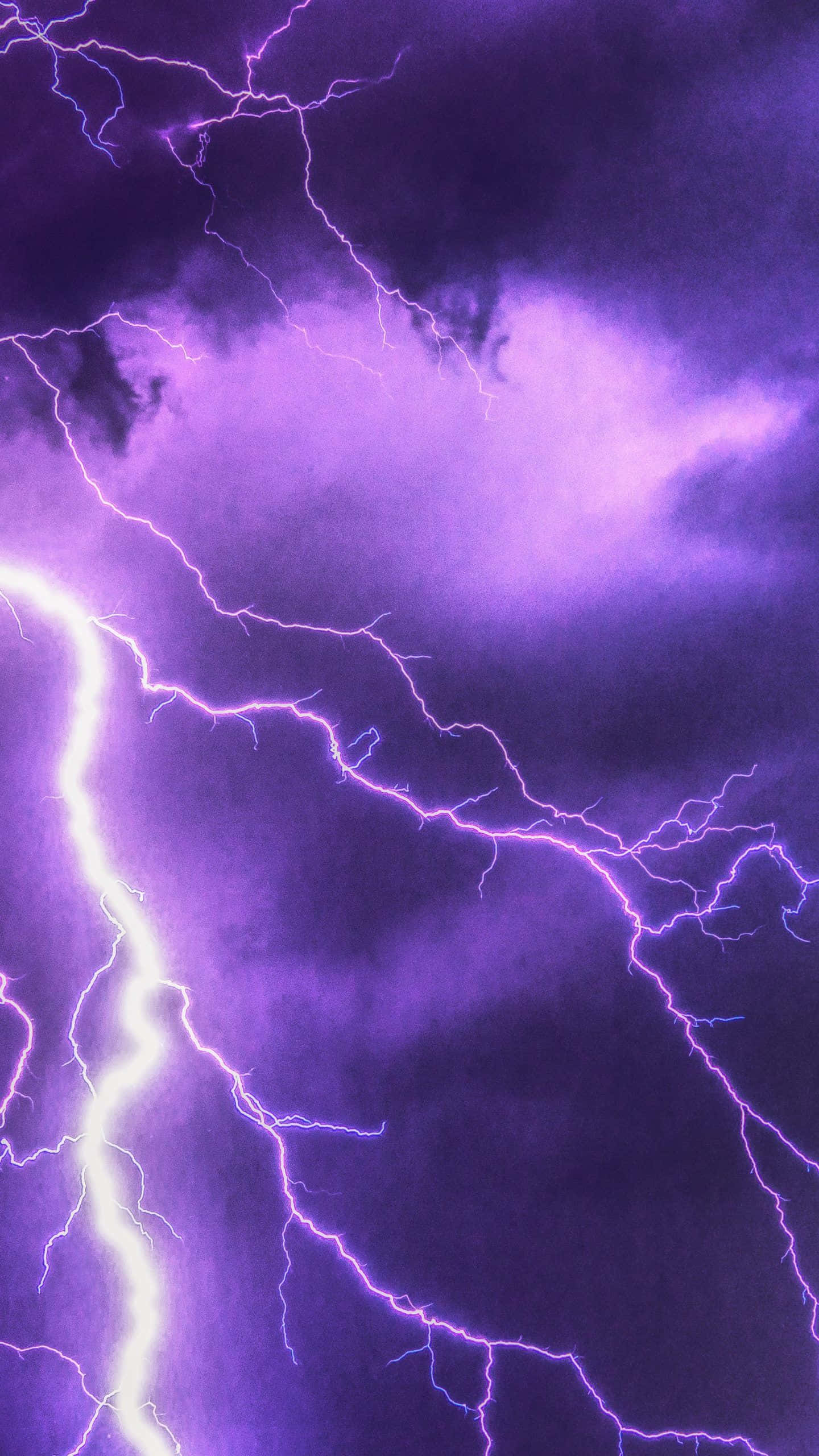 Purple Lightning 桌布 壁紙 — 鮮豔的紫色閃電在暴風雨的天空中分叉，形成戲劇性的電光展示。