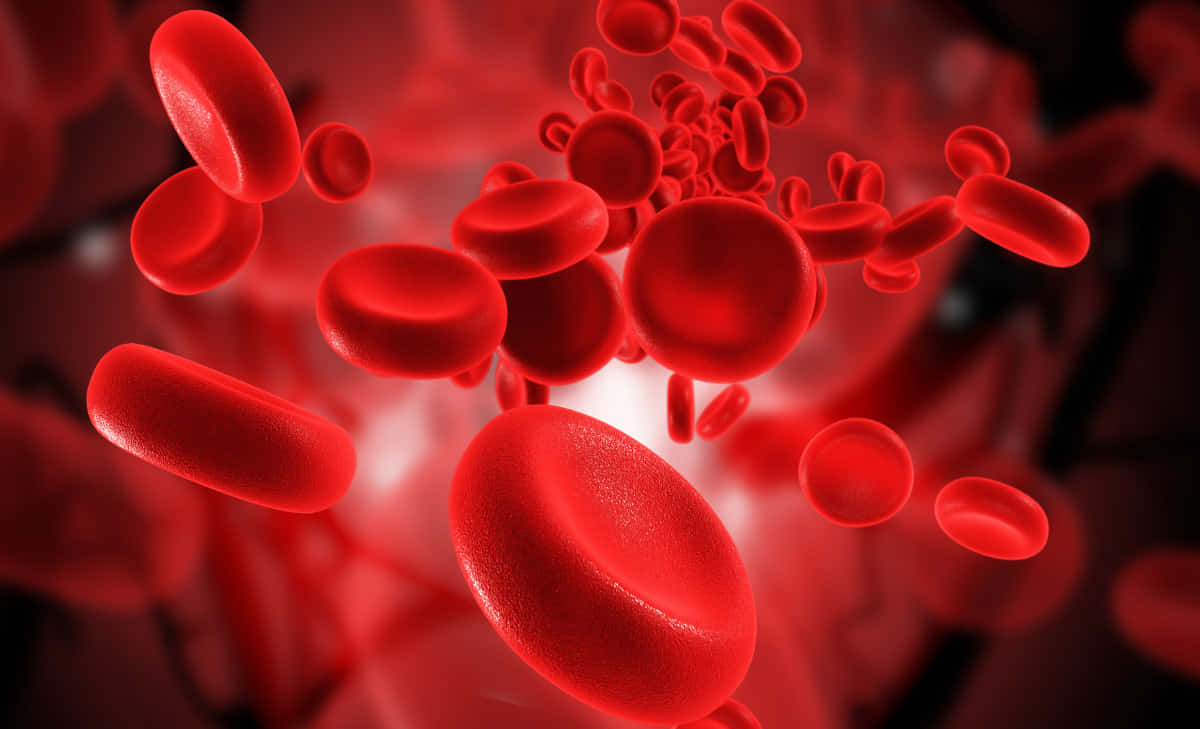 Red Blood Cells 桌布 壁紙 — 鮮豔的紅血球在高解析度3D渲染醫學可視化中動態流過發光的血管隧道。