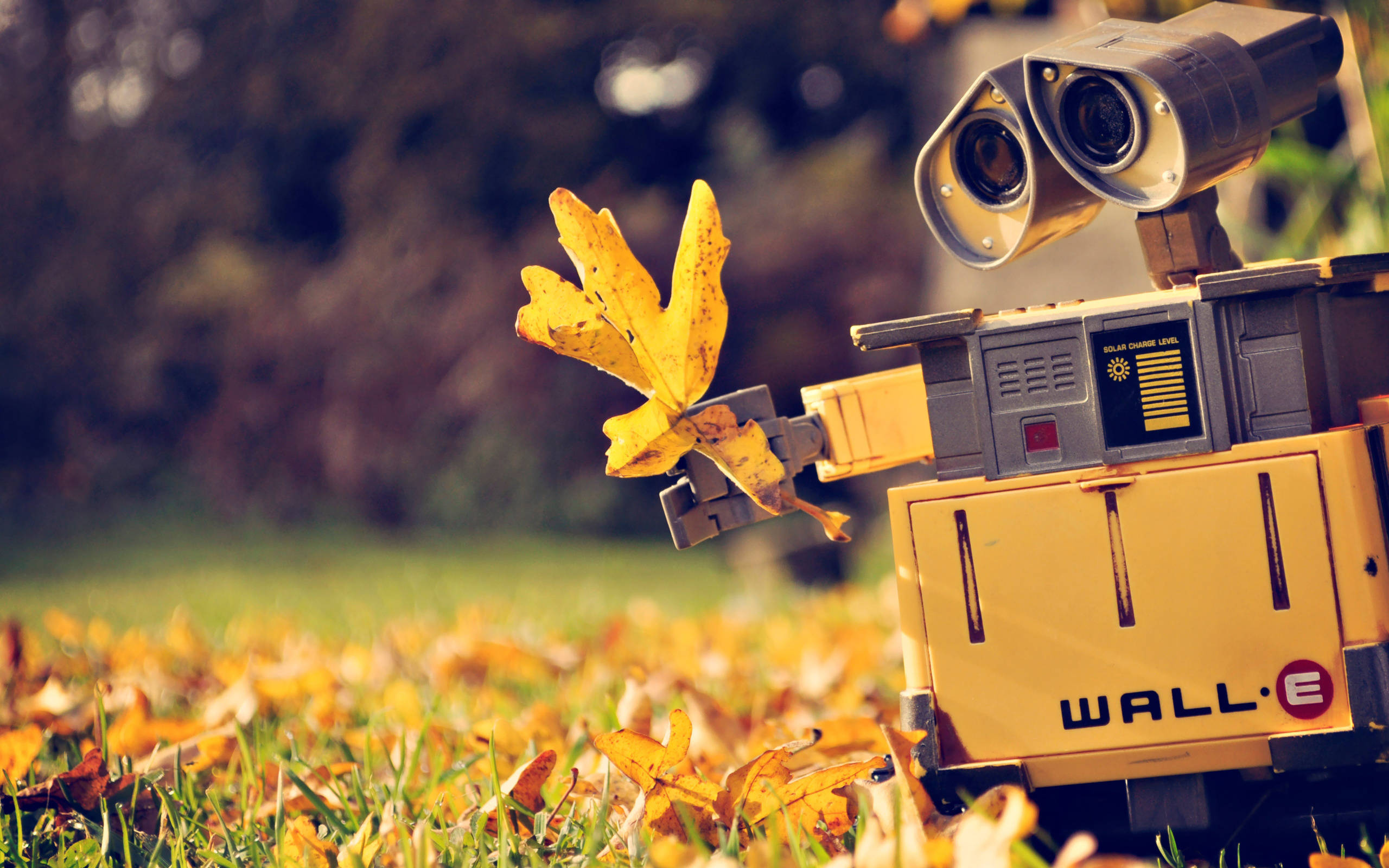 E 桌布 壁紙 — WALL-E 在溫暖陽光下的秋天落葉地毯中拿著一片黃葉。