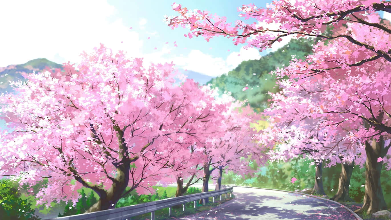 蜿蜒的道路兩旁盛開著櫻花樹，明亮的天空下遠山可見。 — 櫻花 壁紙