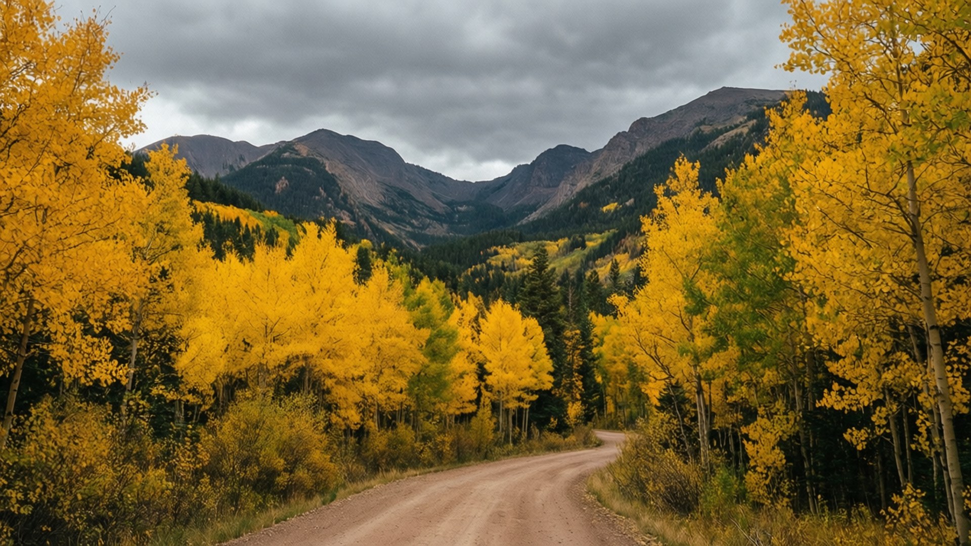 San Juan Aspens 壁紙 — 一條蜿蜒的泥土路穿過鮮黃色的白楊樹，兩旁是深色的常青樹，通向陰天天空下遠處的灰色山脈。
