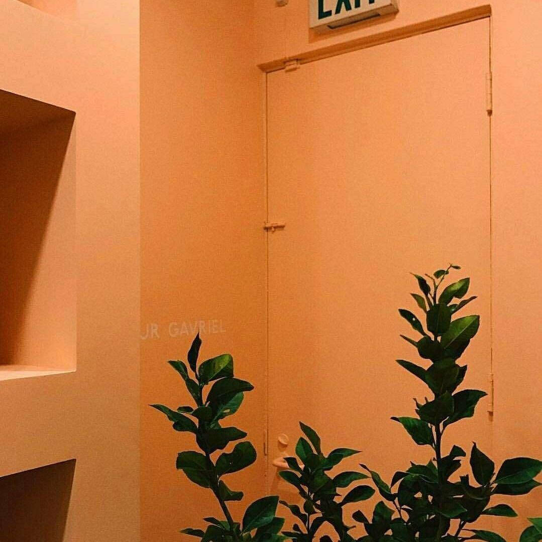 溫暖燈光下，帶有門和綠色植物的桃色室內設計。 — Pastel 壁紙