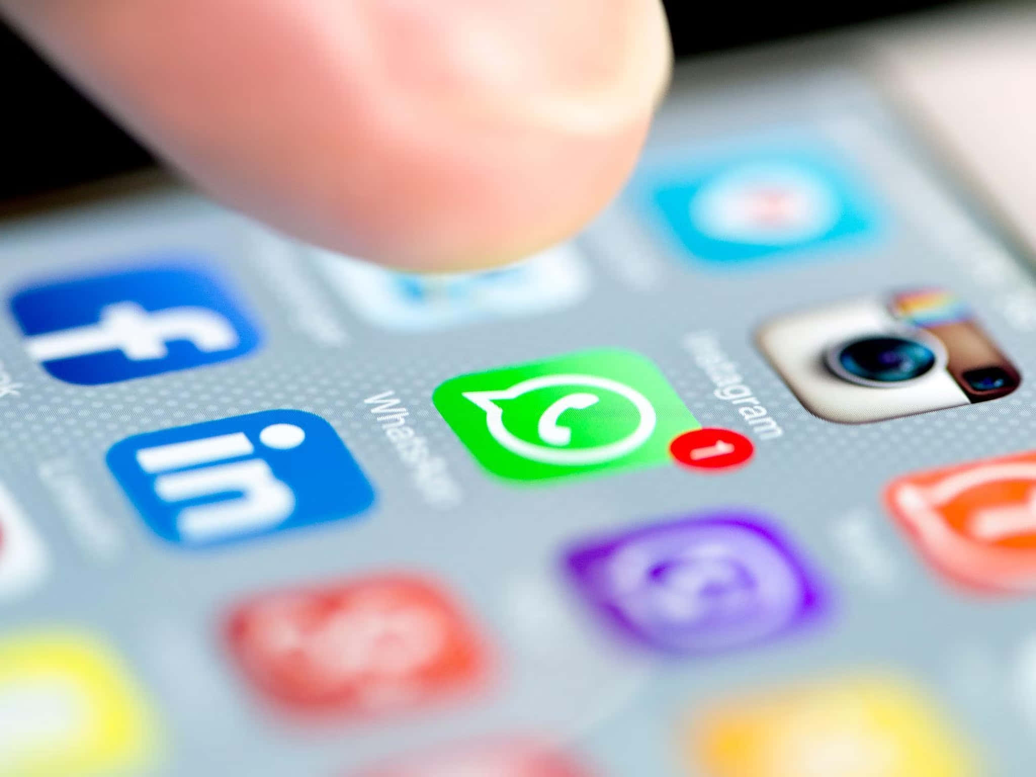 WhatsApp - 適用於企業的社群媒體應用程式 壁紙
