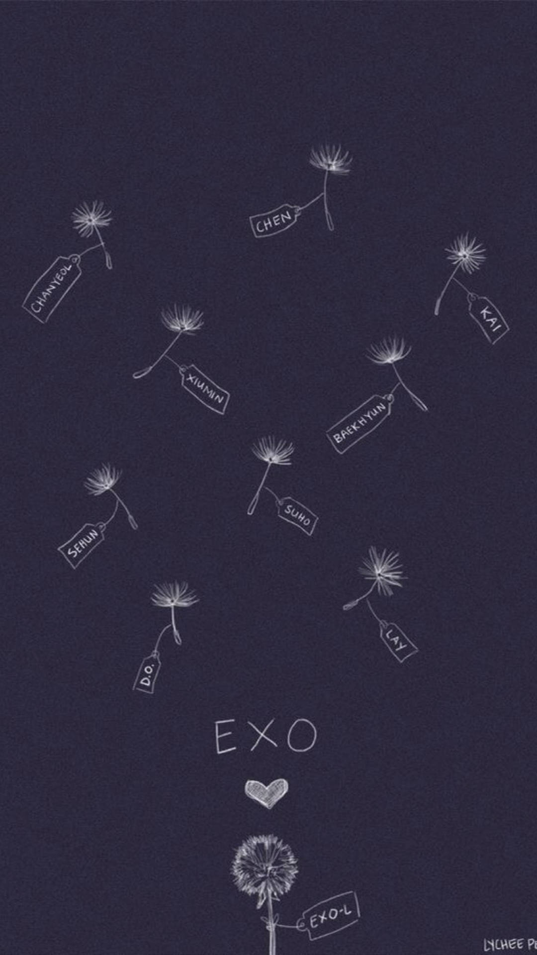 蒲公英圖畫與EXO成員名字在深海軍藍背景上形成心形。 — Exo 壁紙