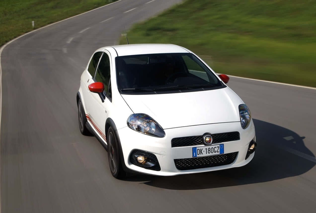Fiat Punto 桌布 壁紙 — 一輛白色Fiat Punto在明亮的日光下，沿著一條彎曲的瀝青道路快速行駛，道路兩旁是茂密的綠草。
