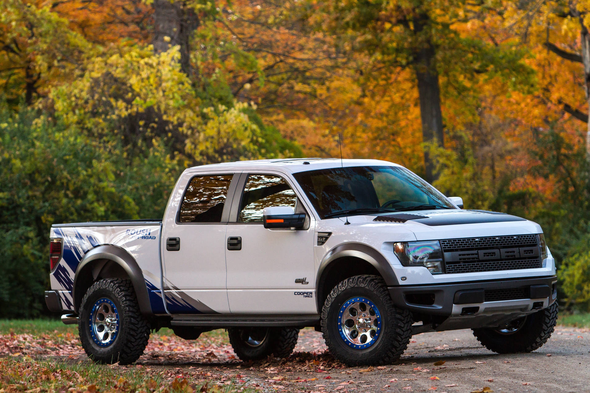 白色福特F-150 Raptor配藍色輪圈停在秋林。 — 福特猛禽 壁紙